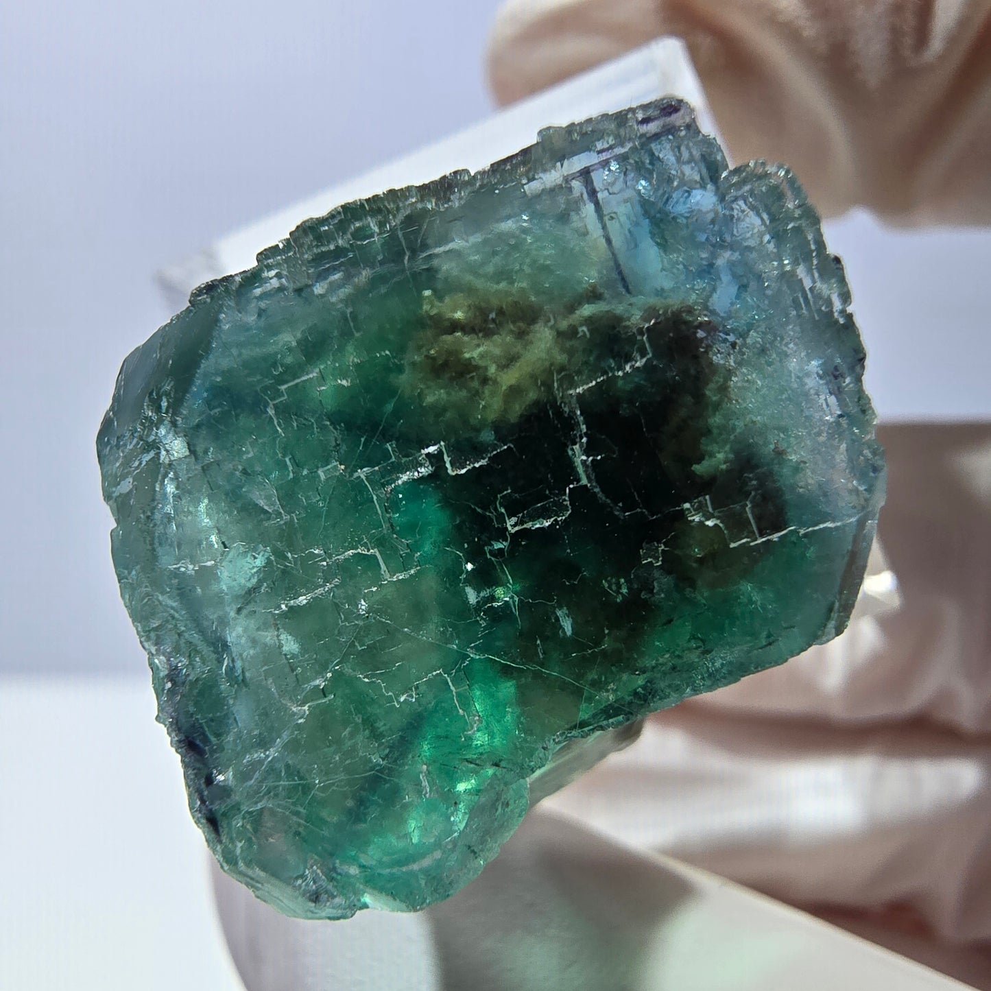 Cube de fluorite fantôme transparente parquetée, vert Okorusu, Namibie 23 x 21 x 19 mm