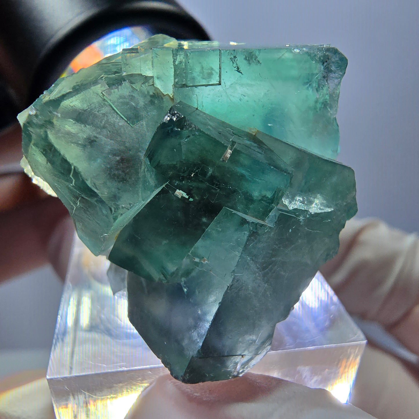 Spécimen de cube de fluorite fantôme, parquet vert Okorusu, Namibie 37 x 30 x 27 mm