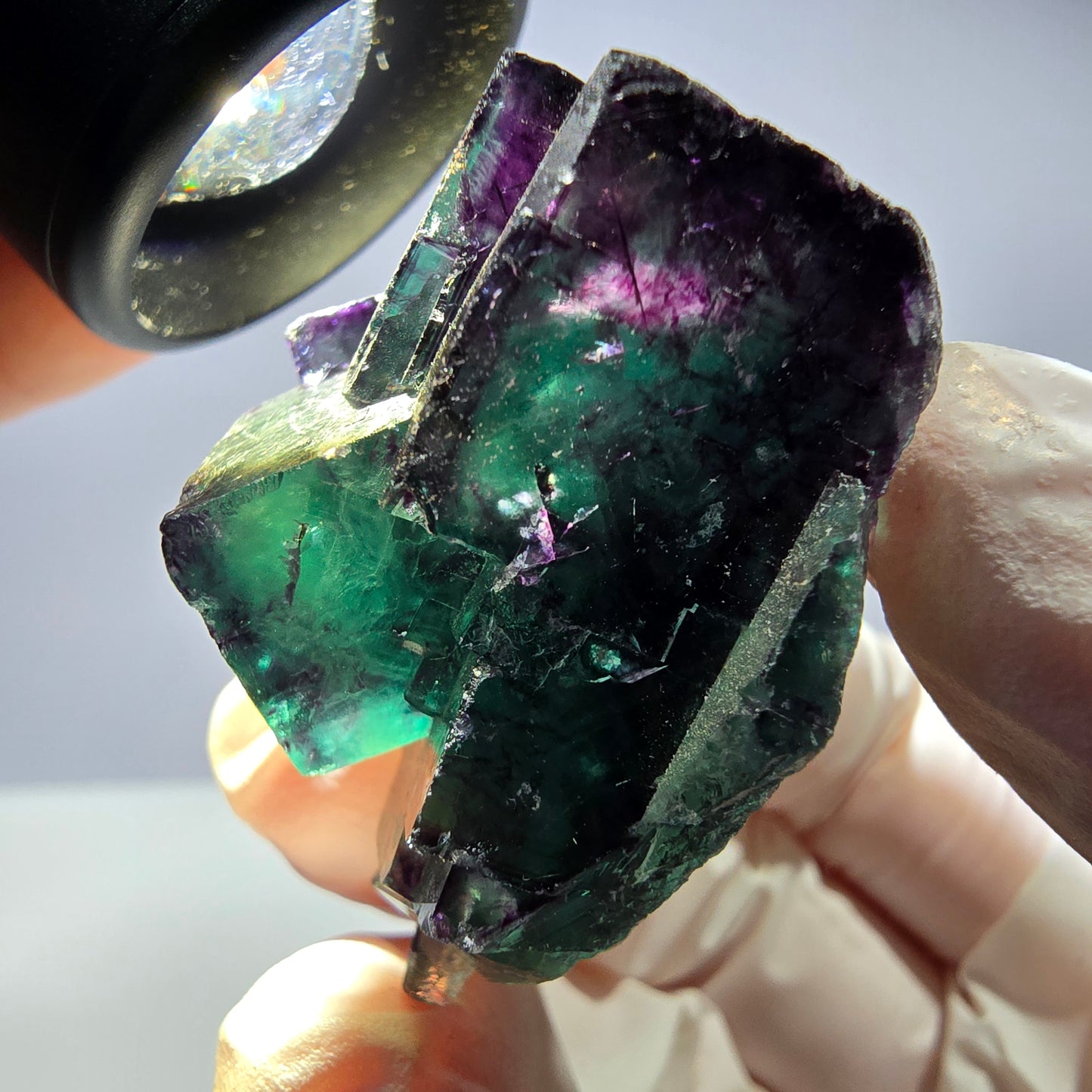 Spécimen de cube de fluorite fantôme parqueté vert violet Okorusu, Namibie 42*38*25mm