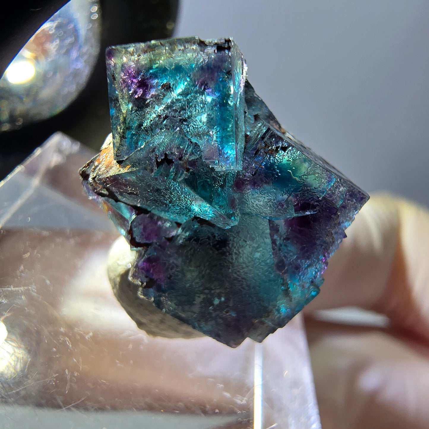 Spécimen de cube de fluorite fantôme, parqueté vert violet Okorusu, Namibie 20 x 15 x 12 mm