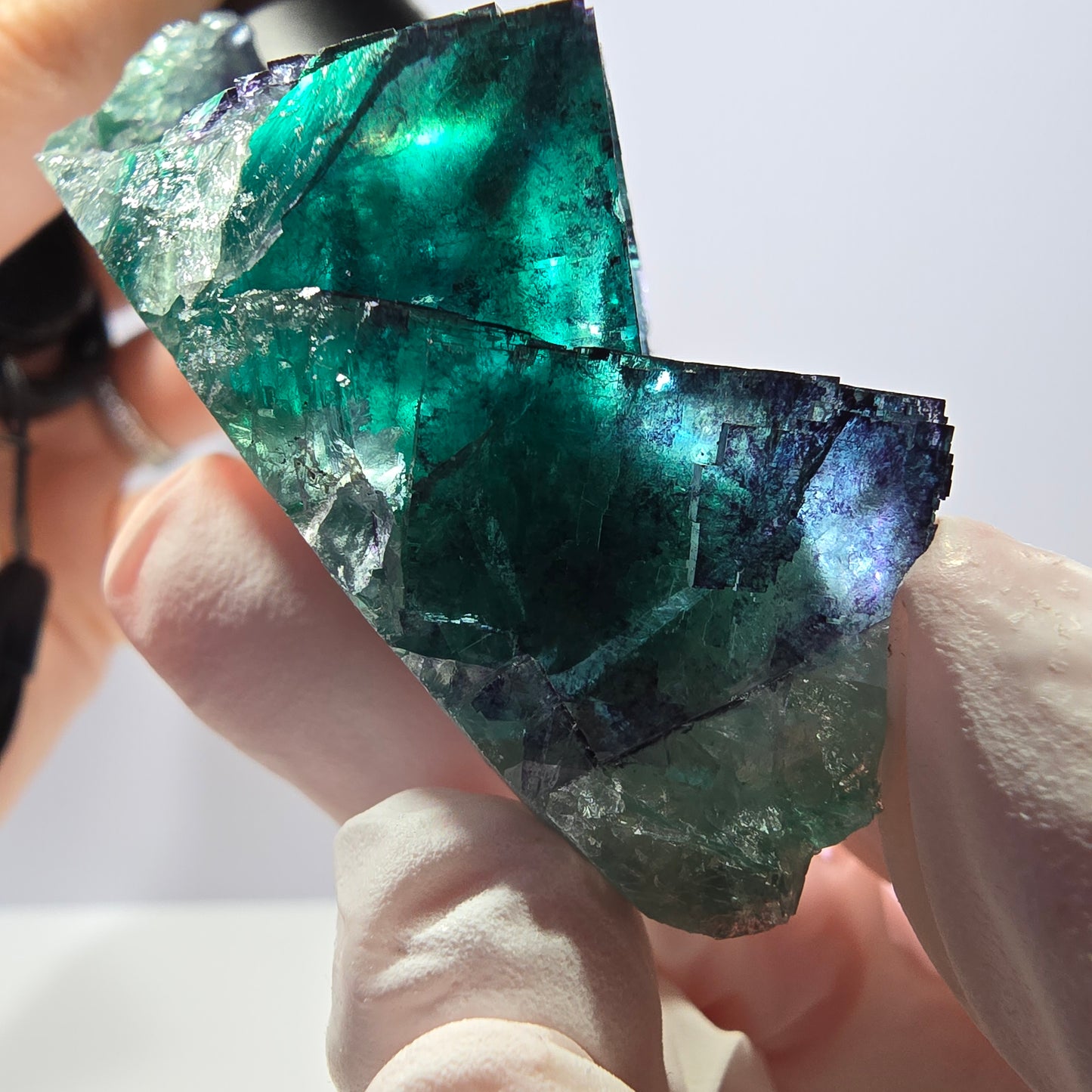 Spécimen de cube de fluorite fantôme parqueté vert violet Okorusu, Namibie 71*36*21mm