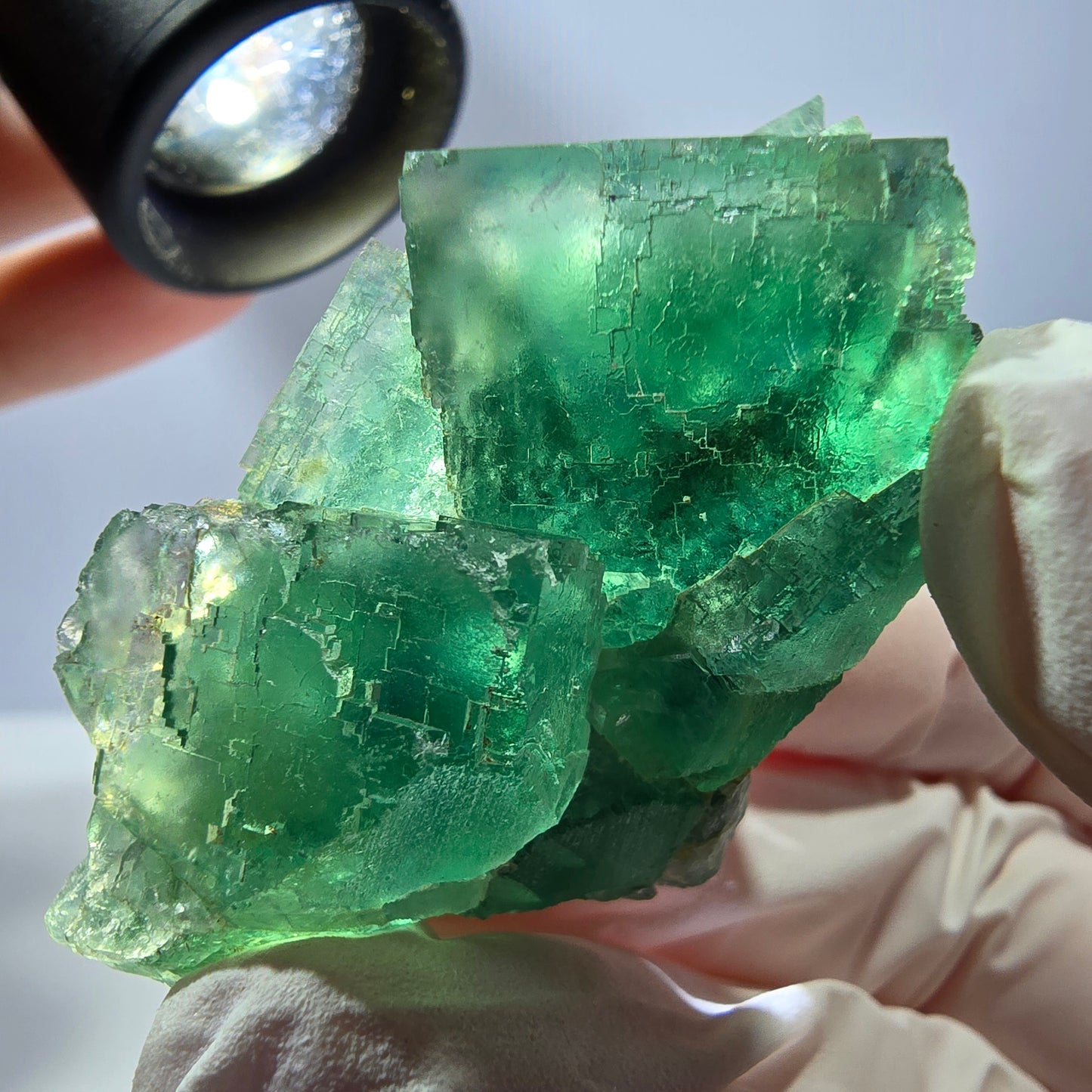 Spécimen de cube de fluorite fantôme transparente, vert parqueté, Okorusu, Namibie, 54 x 33 x 29 mm