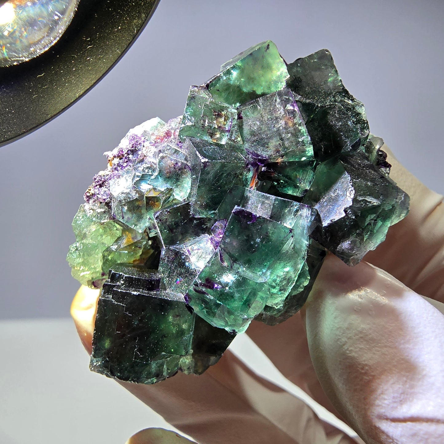 Spécimen de cube de fluorite fantôme parqueté vert violet Okorusu, Namibie 51*31*22mm