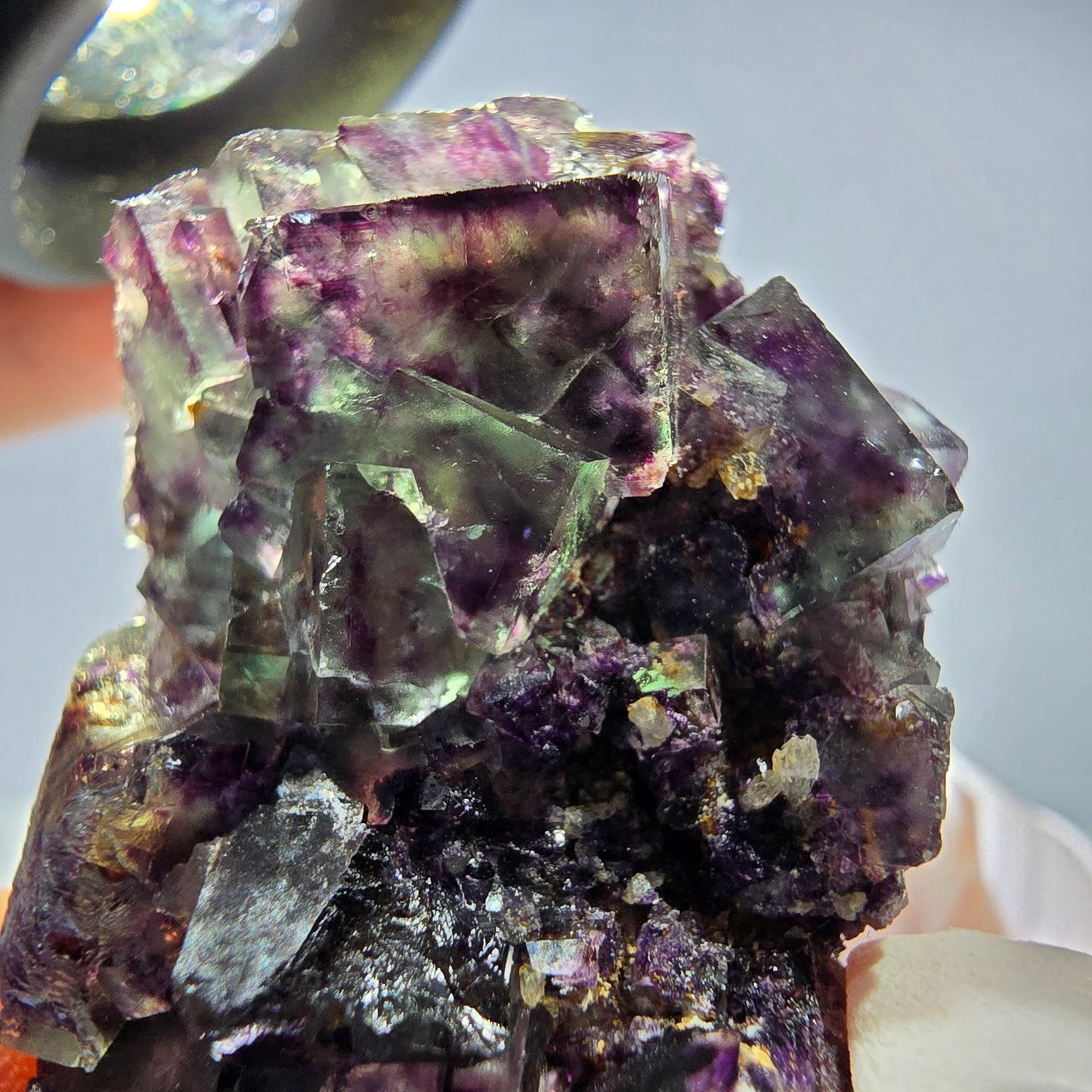 Spécimen de cube de fluorite fantôme parqueté vert violet Okorusu, Namibie 49*27*17mm