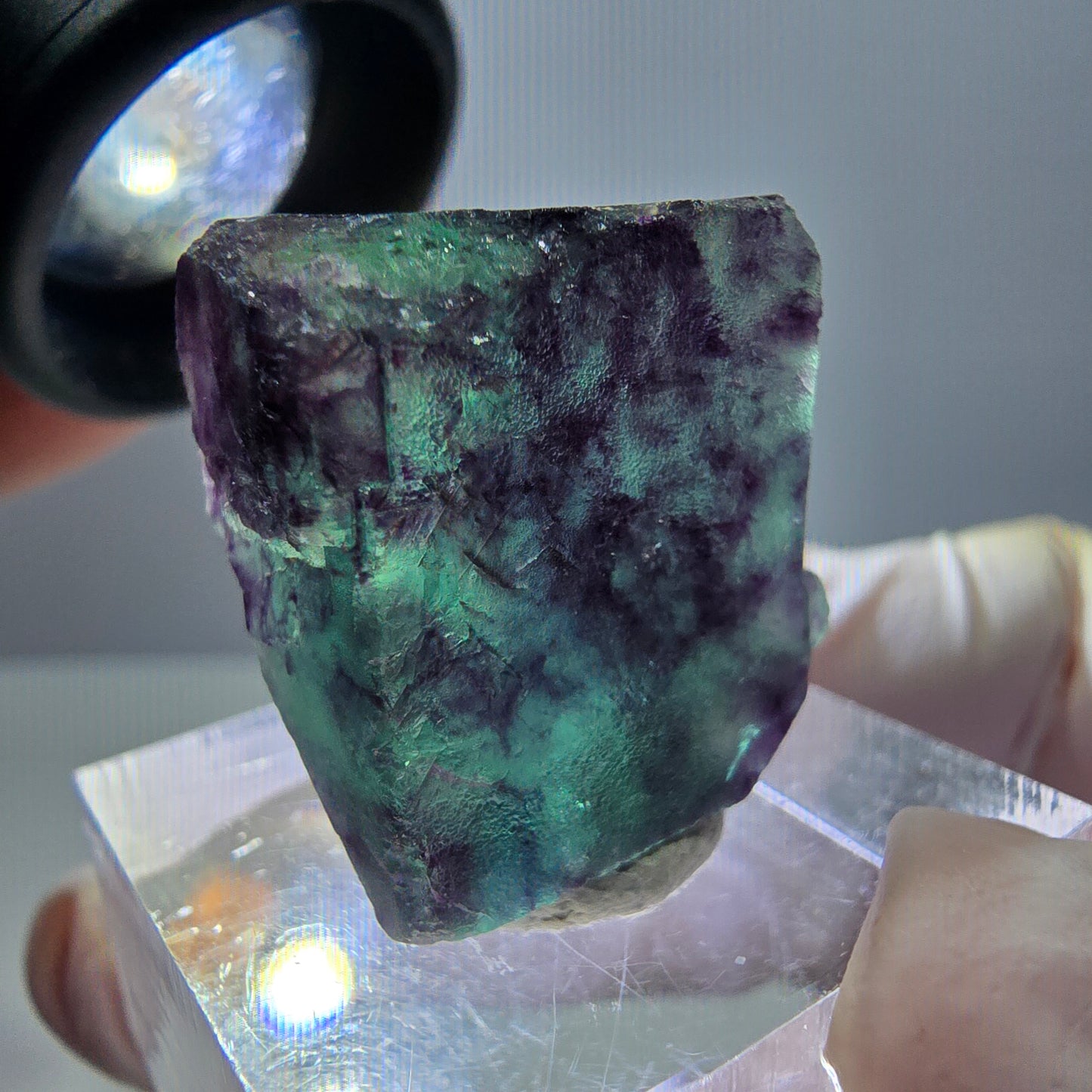 Phantom Fluorit Würfel Stufe, parkettiert grün lila Okorusu, Namibia 21*19*14mm
