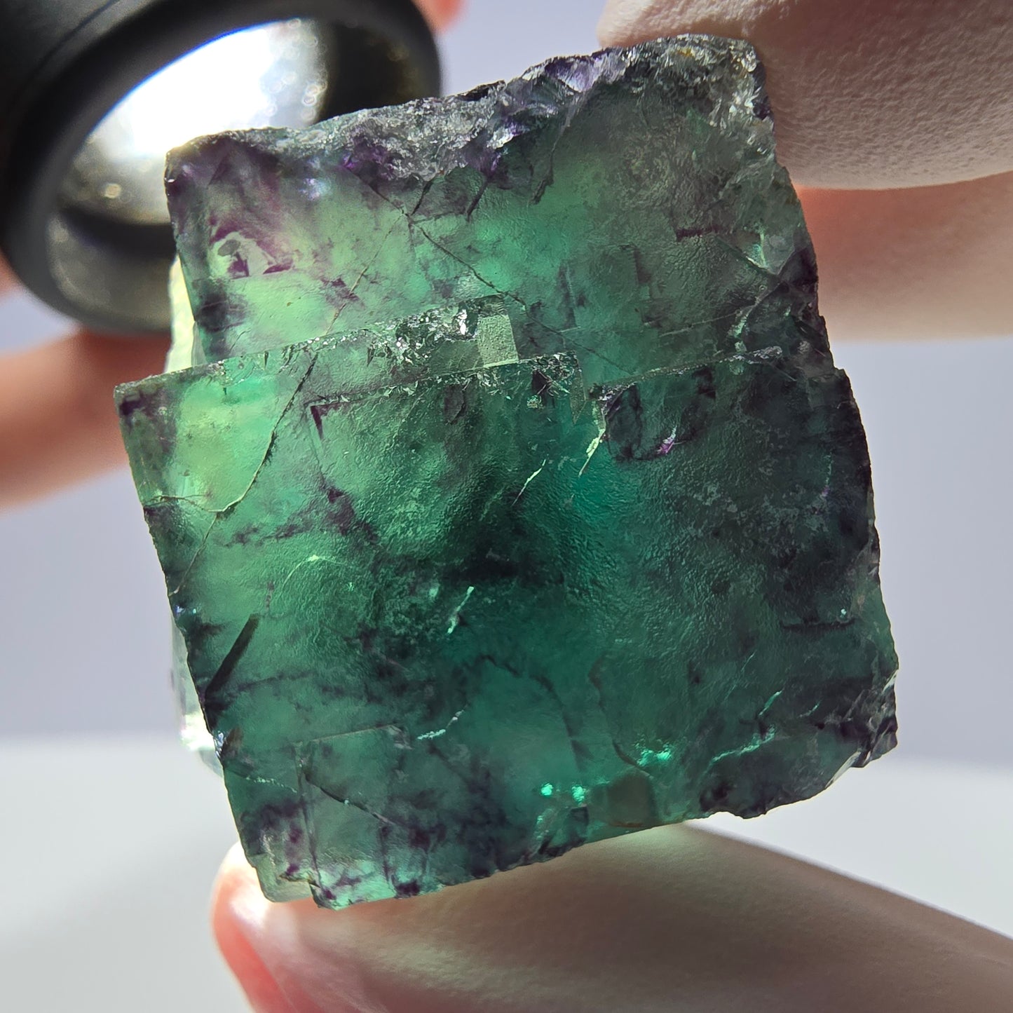 Spécimen de cube de fluorite fantôme parqueté vert violet Okorusu, Namibie 34*31*24mm