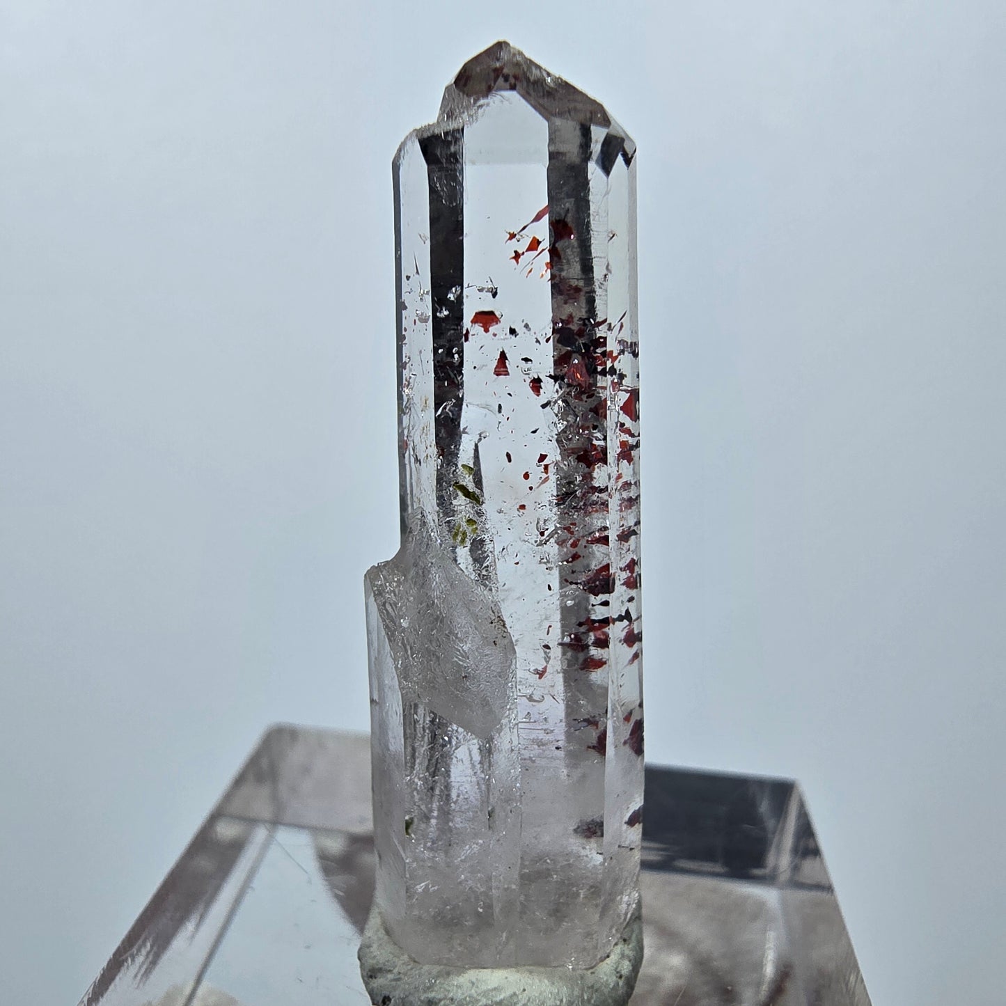 Quartz clair Harlequin Mine Point Streep, Goboboseb, Namibie 34 x 11 x 8 mm