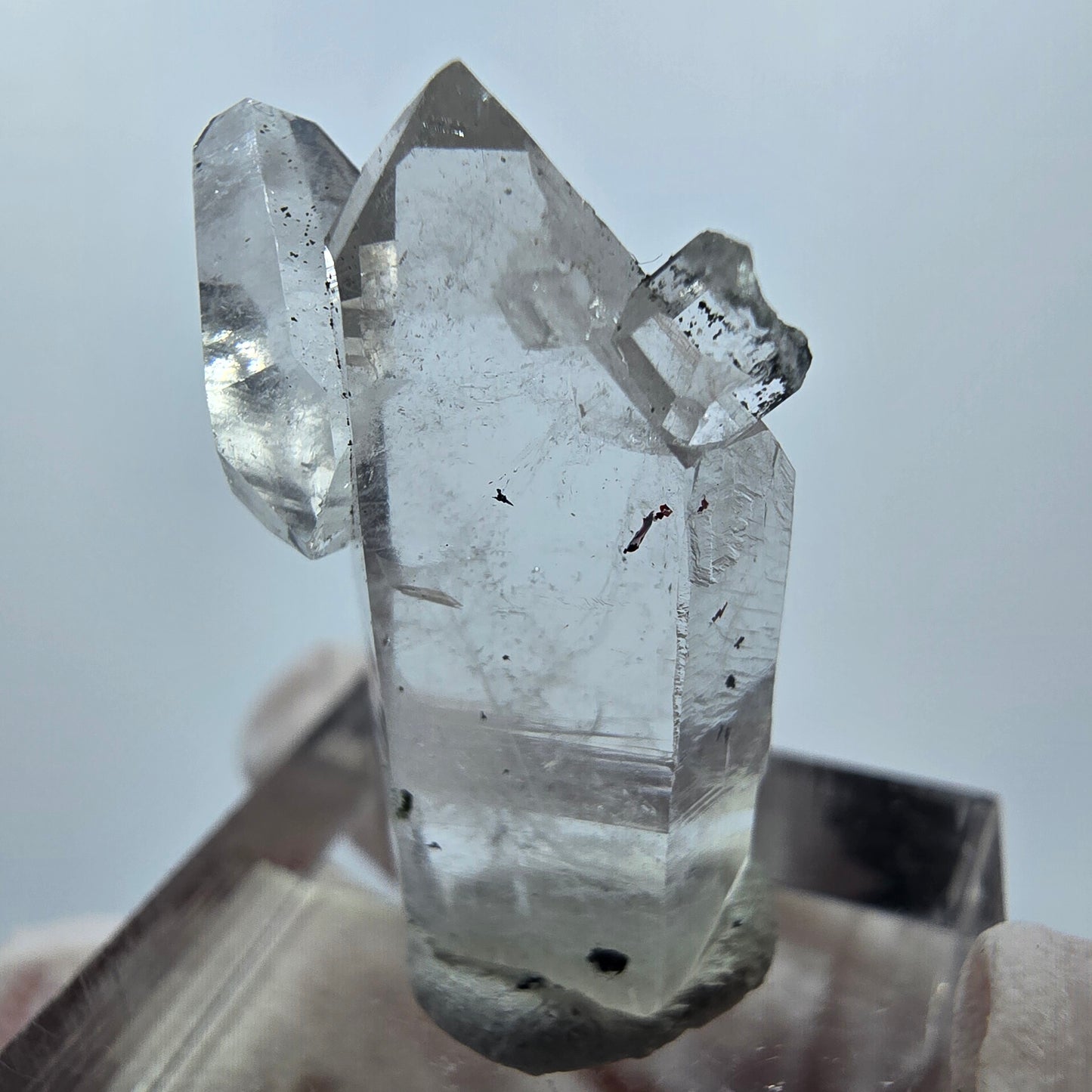 Quartz hématite transparent à double pointe, mine Streep, Goboboseb, Namibie, 28 x 18 x 8 mm
