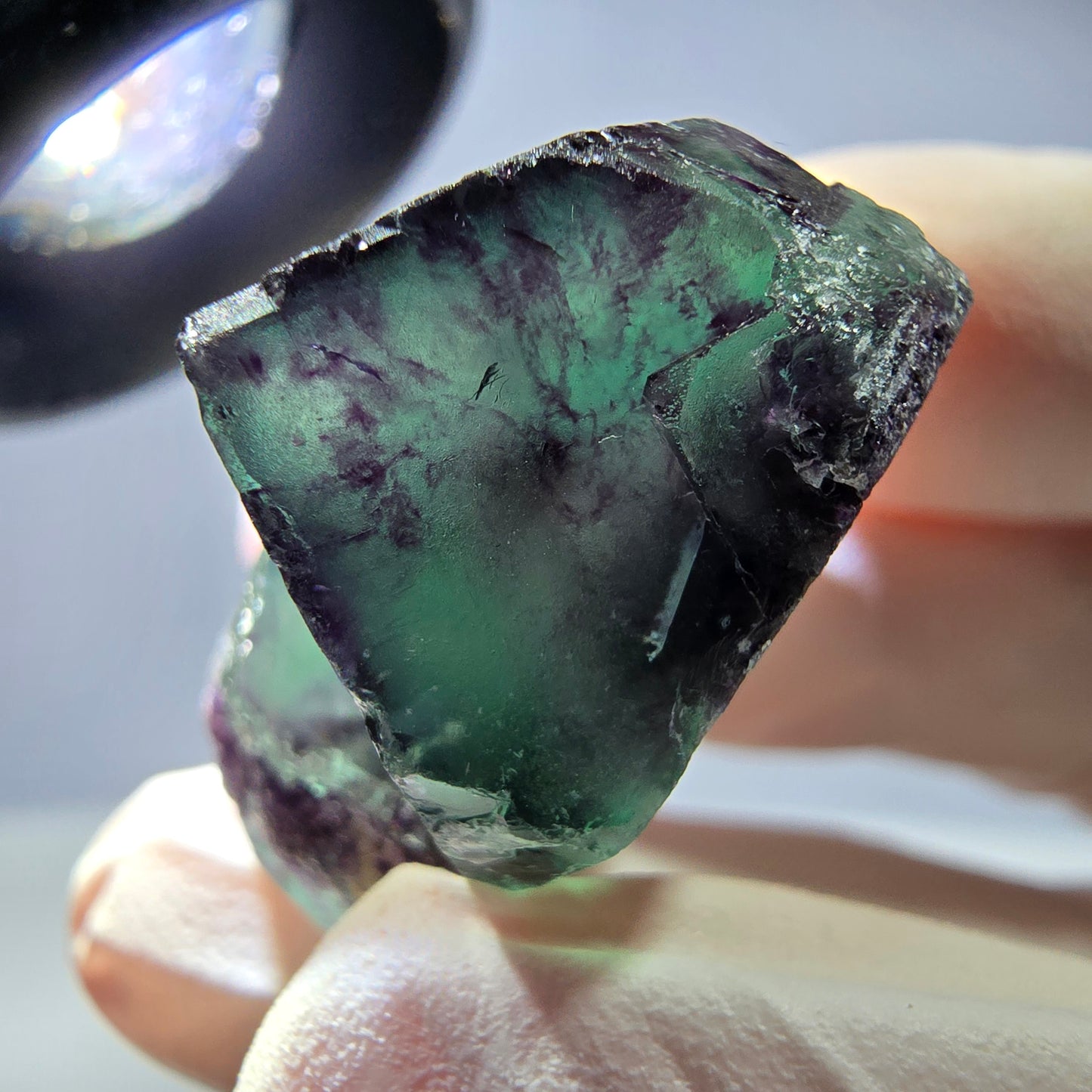 Spécimen de cube de fluorite fantôme parqueté vert violet Okorusu, Namibie 28*26*17 mm