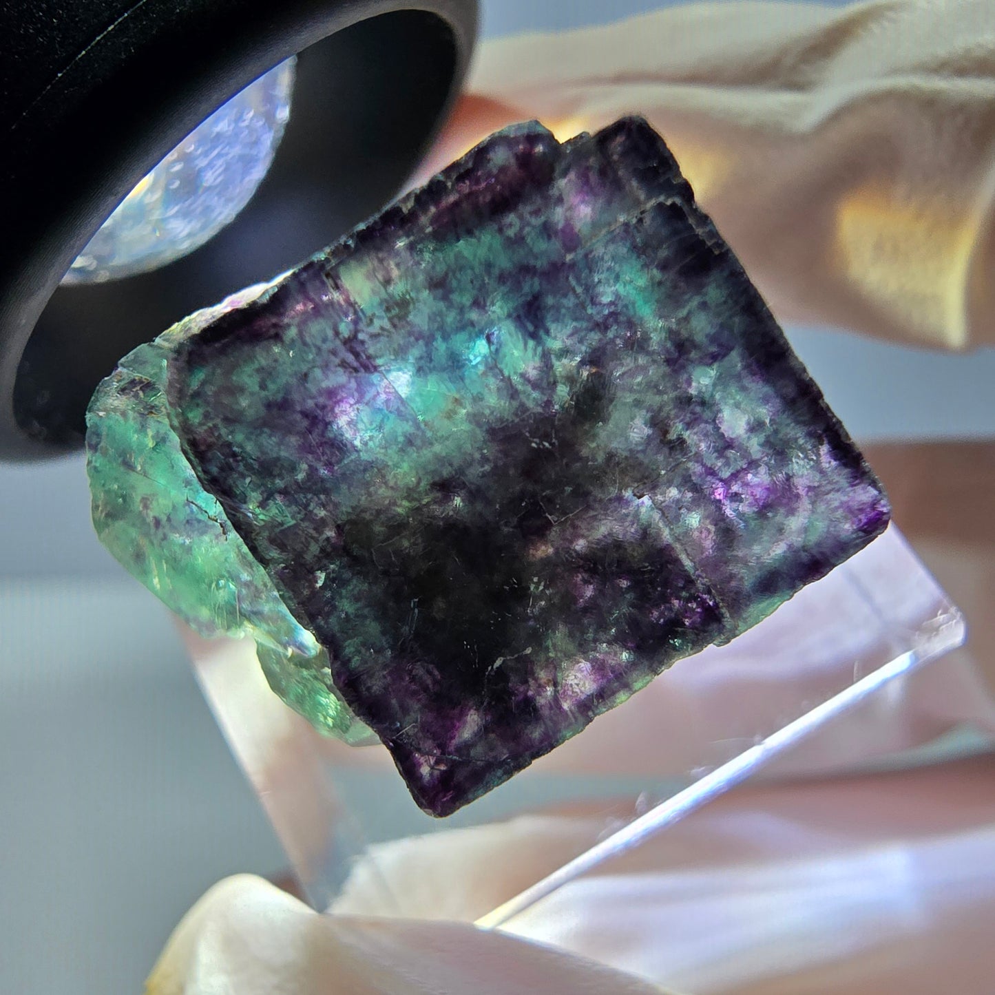 Phantom Fluorit Würfel Stufe, parkettiert grün lila Okorusu, Namibia 21*20*17mm