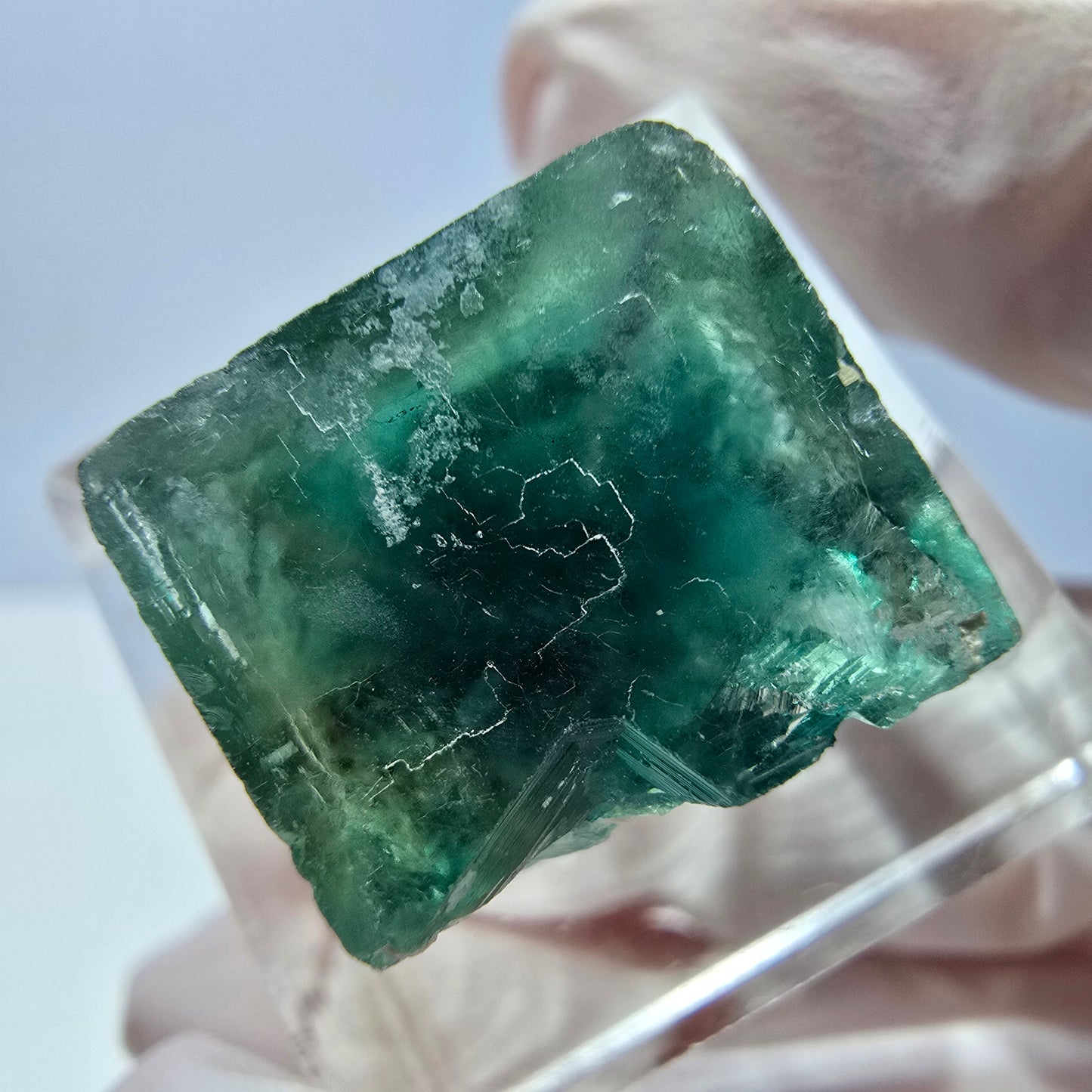 Cube de fluorite fantôme transparente parquetée, vert Okorusu, Namibie 15 x 15 x 13 mm