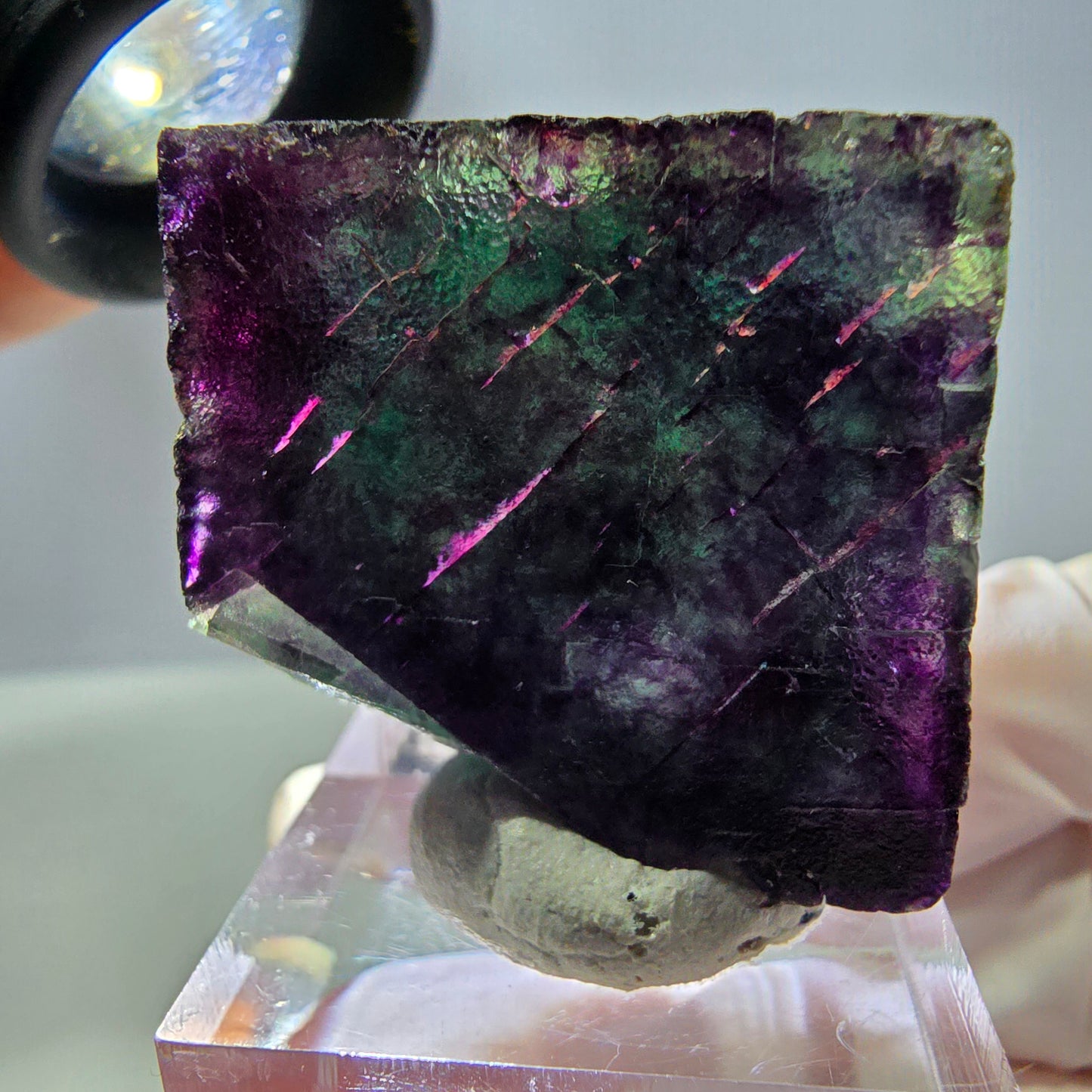 Rare cube de fluorite fantôme parqueté vert violet Okorusu Namibie 29*29*28mm