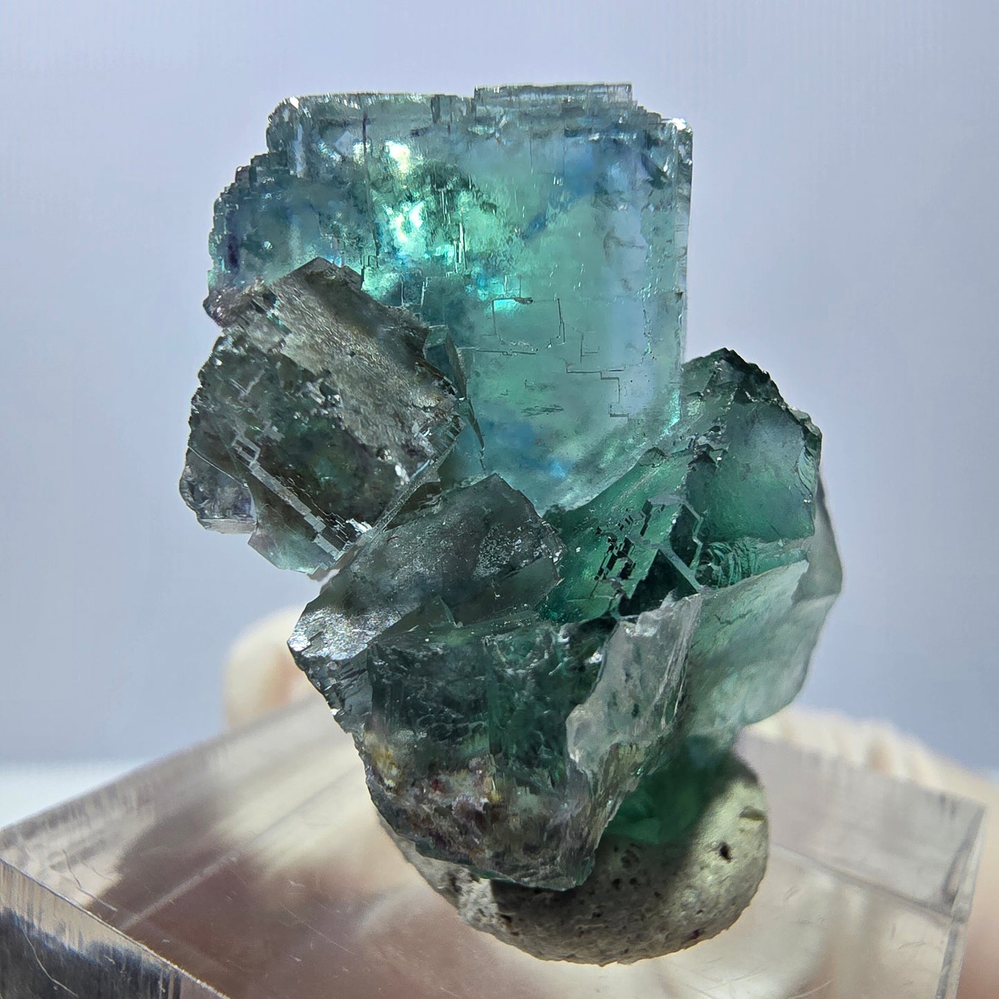 Spécimen de cube de fluorite fantôme, parquet vert Okorusu, Namibie 28 x 21 x 15 mm