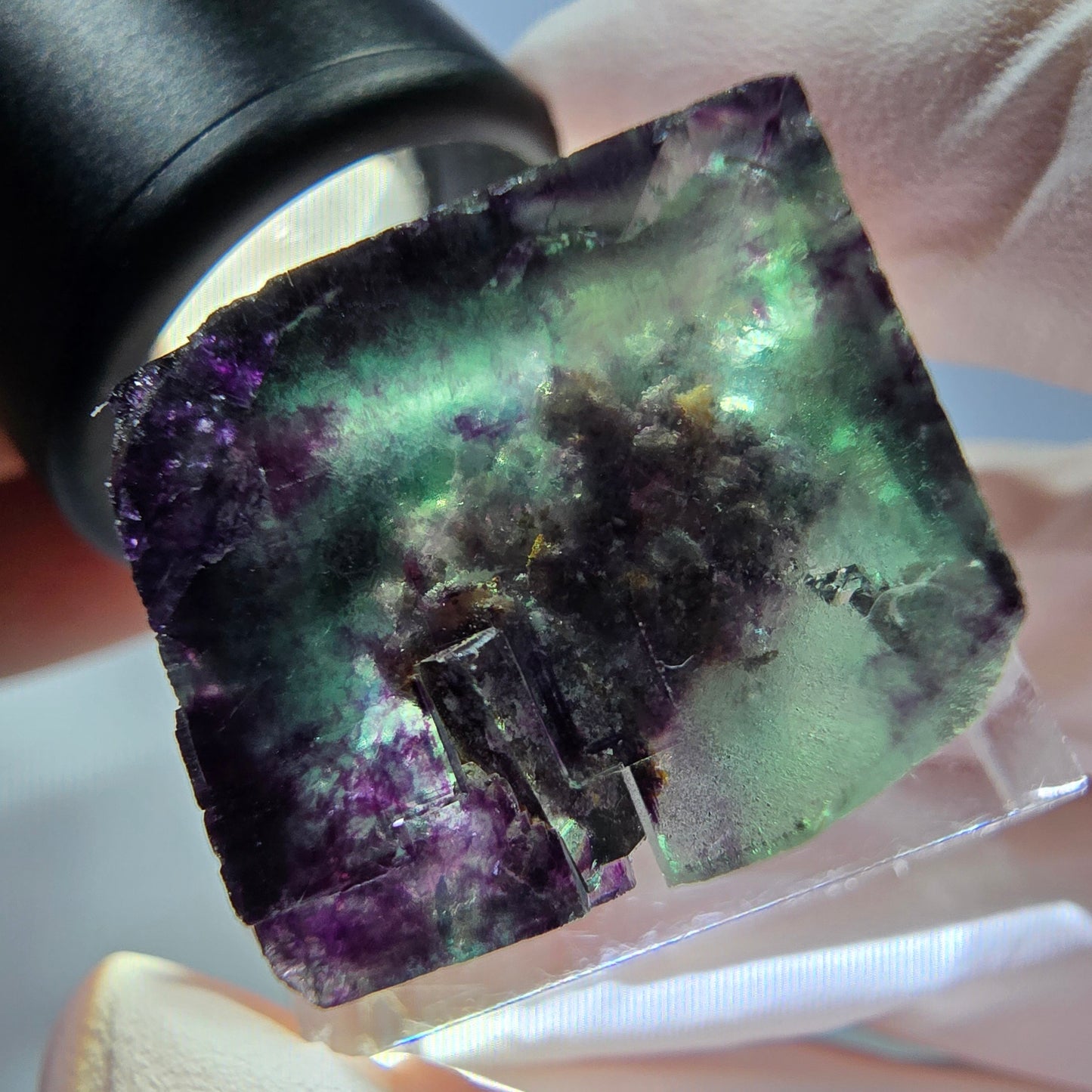 Phantom Fluorit Würfel parkettiert, grün lila Okorusu, Namibia 19*18*17mm