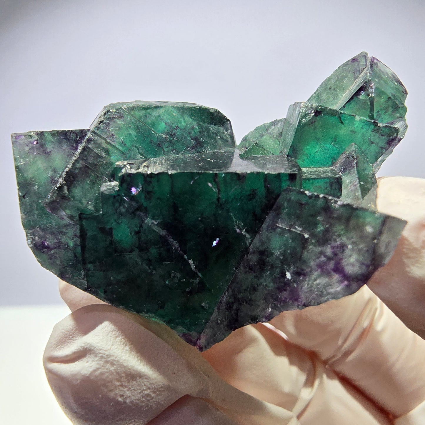 Spécimen de cube de fluorite fantôme parqueté vert violet Okorusu, Namibie 46*34*32mm