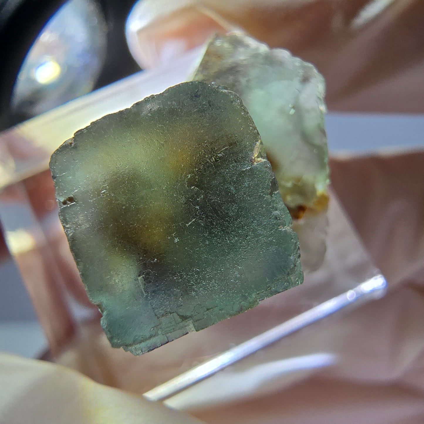 Seltene Phantom Fluorit Würfel Stufe, grün Okorusu, Namibia 22*19*18mm
