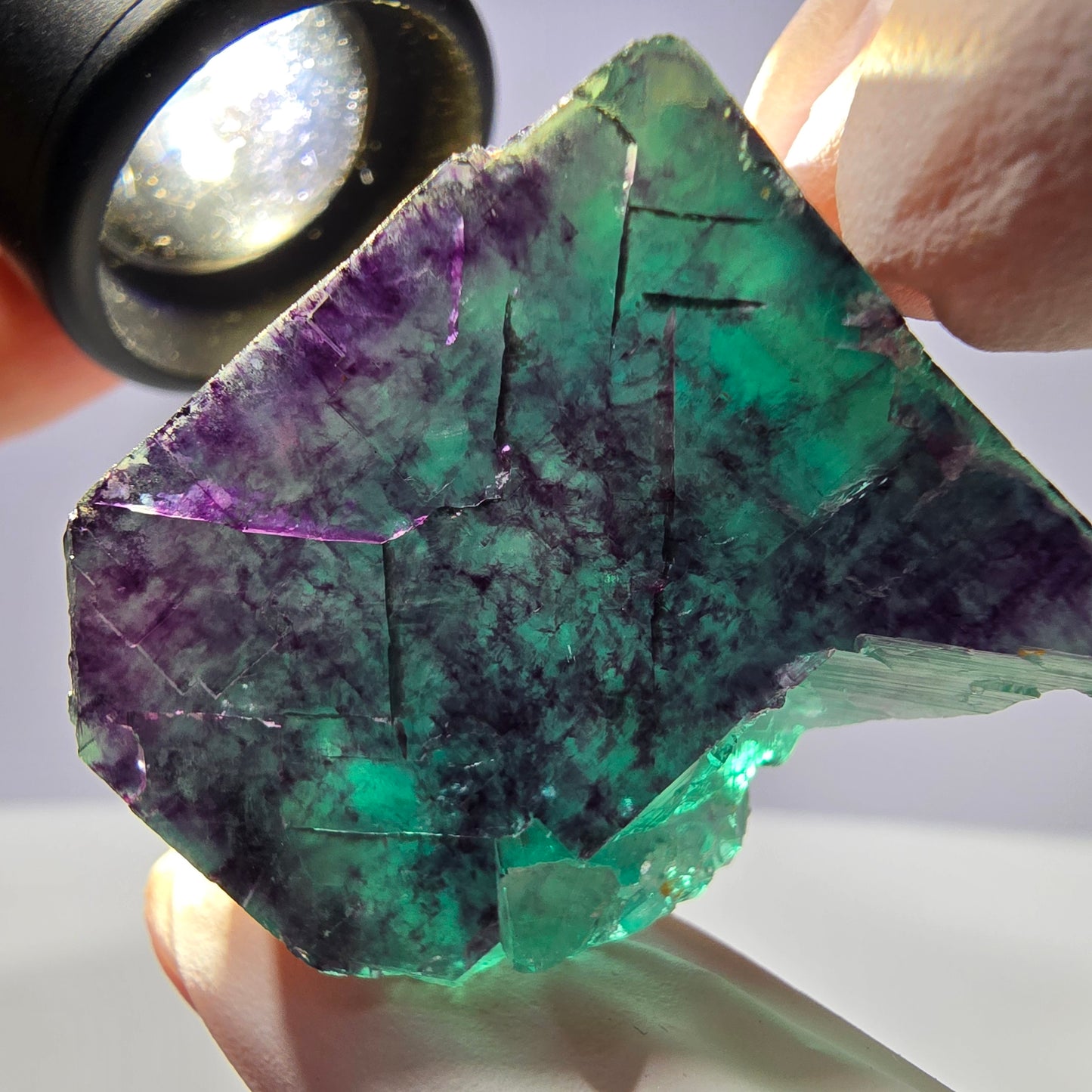 Spécimen de cube de fluorite fantôme parqueté vert violet Okorusu, Namibie 38*29*25 mm