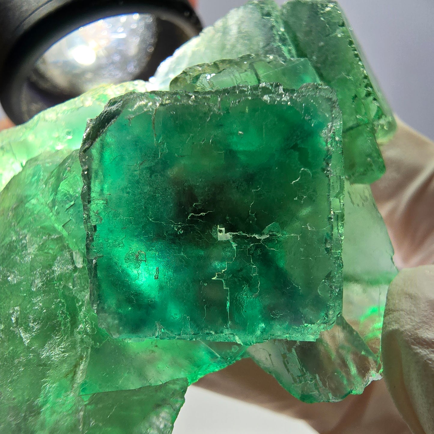 Spécimen de cube de fluorite fantôme transparente, vert parqueté, Okorusu, Namibie, 55 x 45 x 23 mm