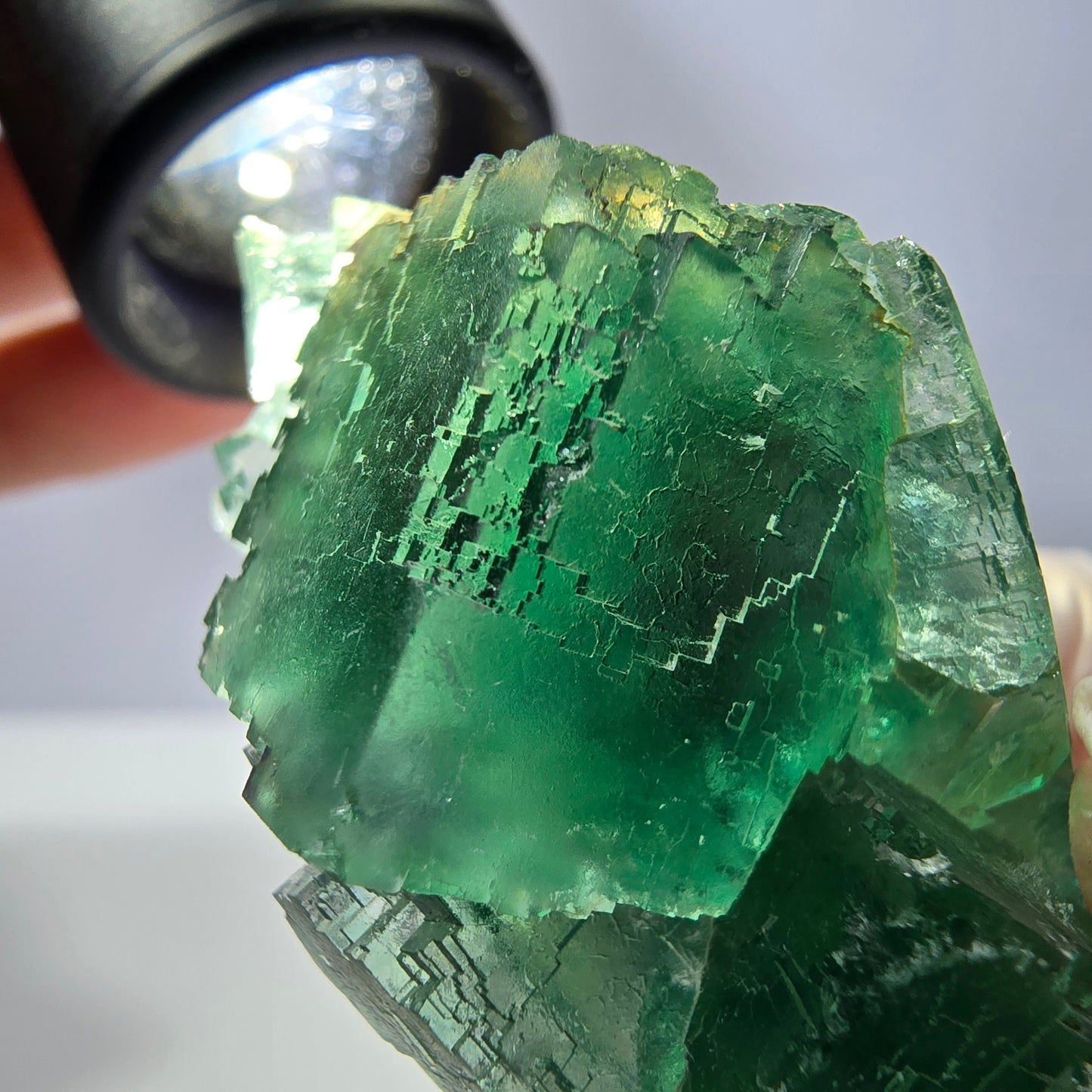 Spécimen de cube de fluorite fantôme transparente, vert parqueté, Okorusu, Namibie, 54 x 33 x 29 mm