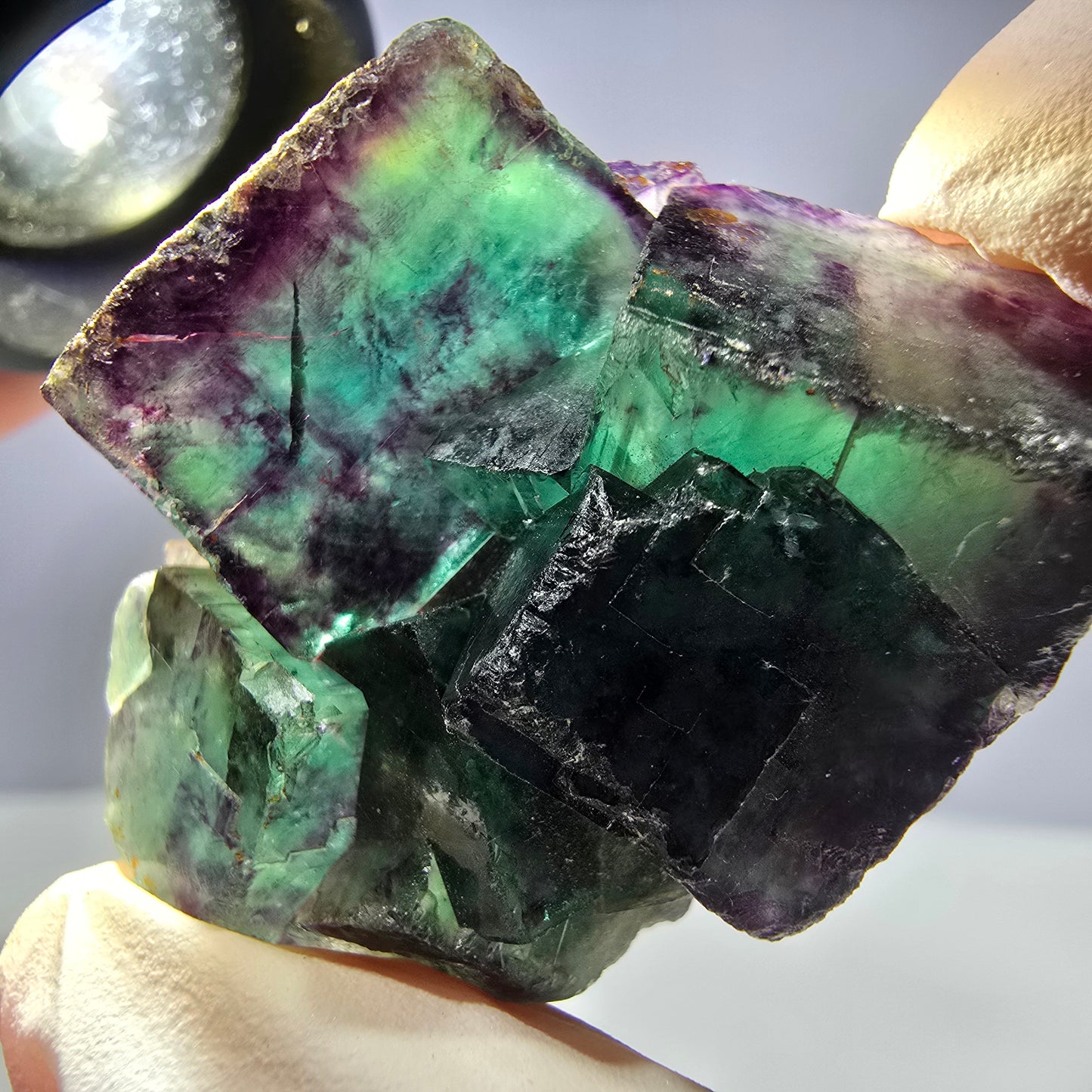 Spécimen de cube de fluorite fantôme parqueté vert violet Okorusu, Namibie 44*35*21mm