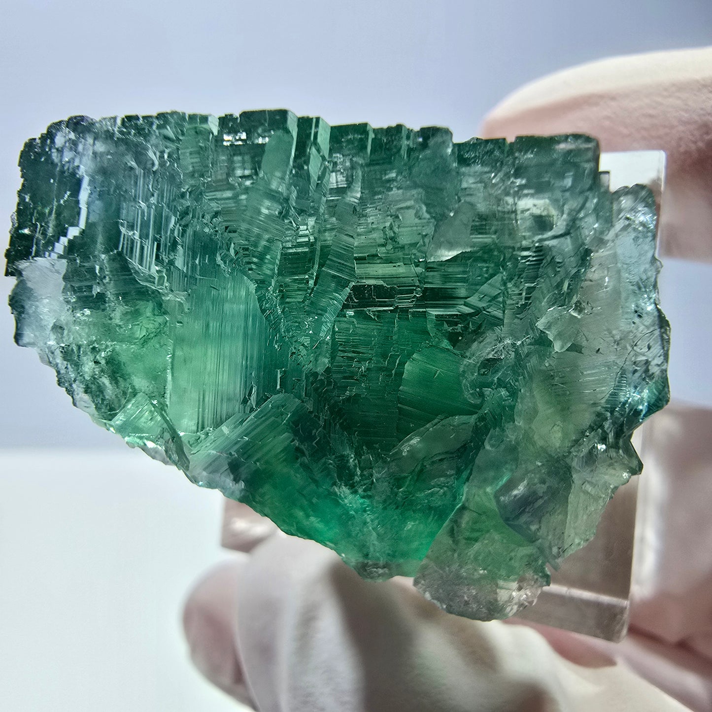 Cube de fluorite fantôme transparente parquetée, vert Okorusu, Namibie 28 x 24 x 22 mm