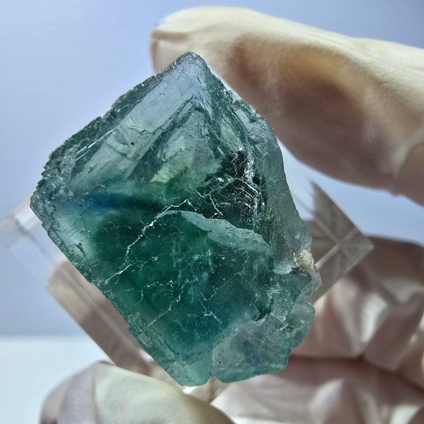 Cube de fluorite fantôme transparente parquetée, vert Okorusu, Namibie 20 x 18 x 15 mm