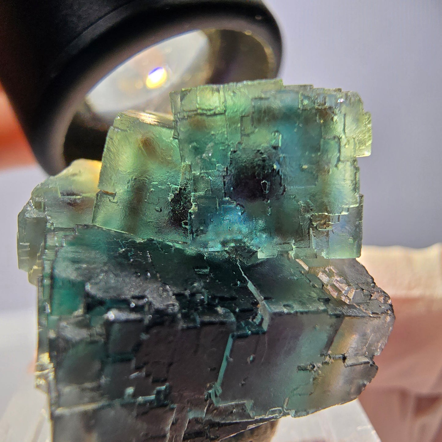 Spécimen de cube de fluorite fantôme, parqueté vert violet Okorusu, Namibie 25*18*18 mm