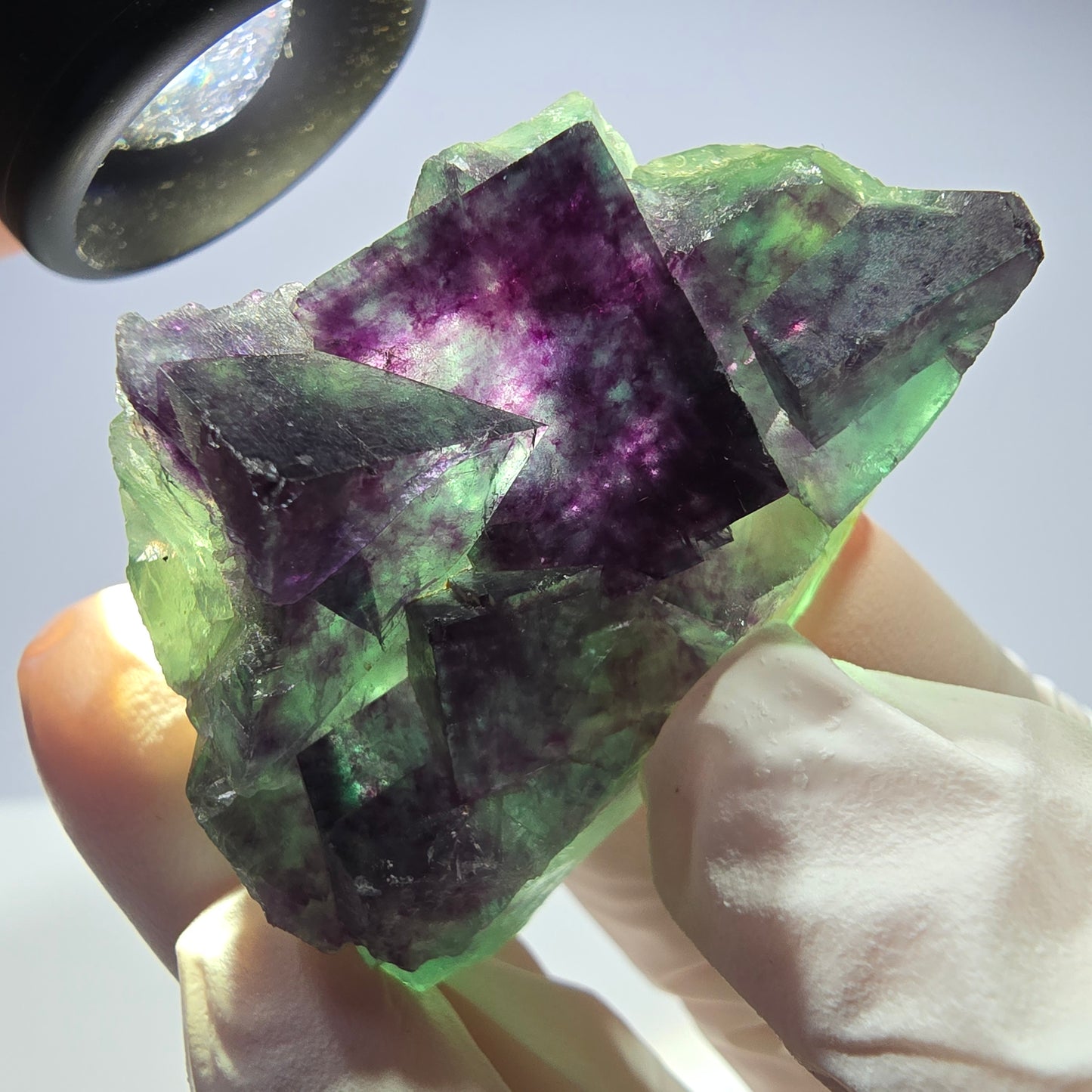 Spécimen de cube de fluorite fantôme parqueté vert violet Okorusu, Namibie 48*26*26mm