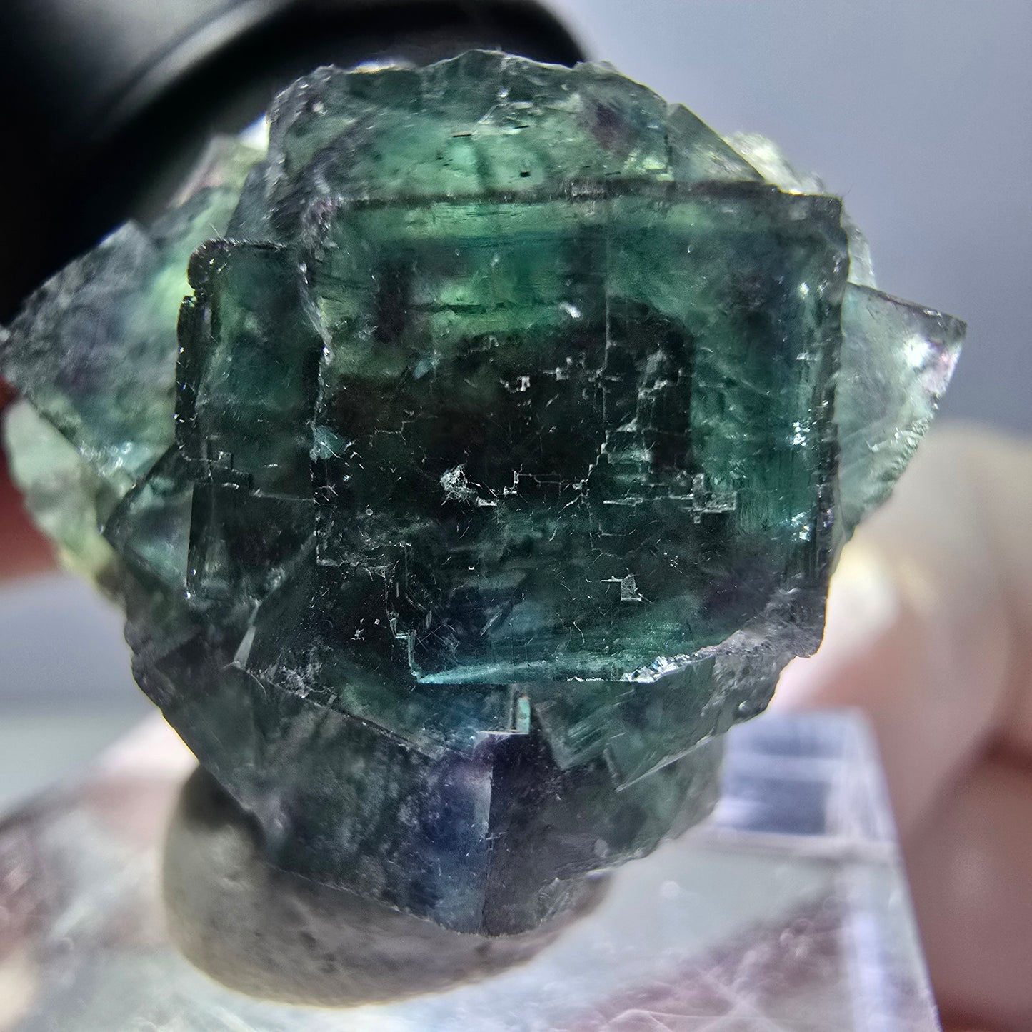 Spécimen de cube de fluorite fantôme, parqueté vert violet Okorusu, Namibie 27*24*17 mm