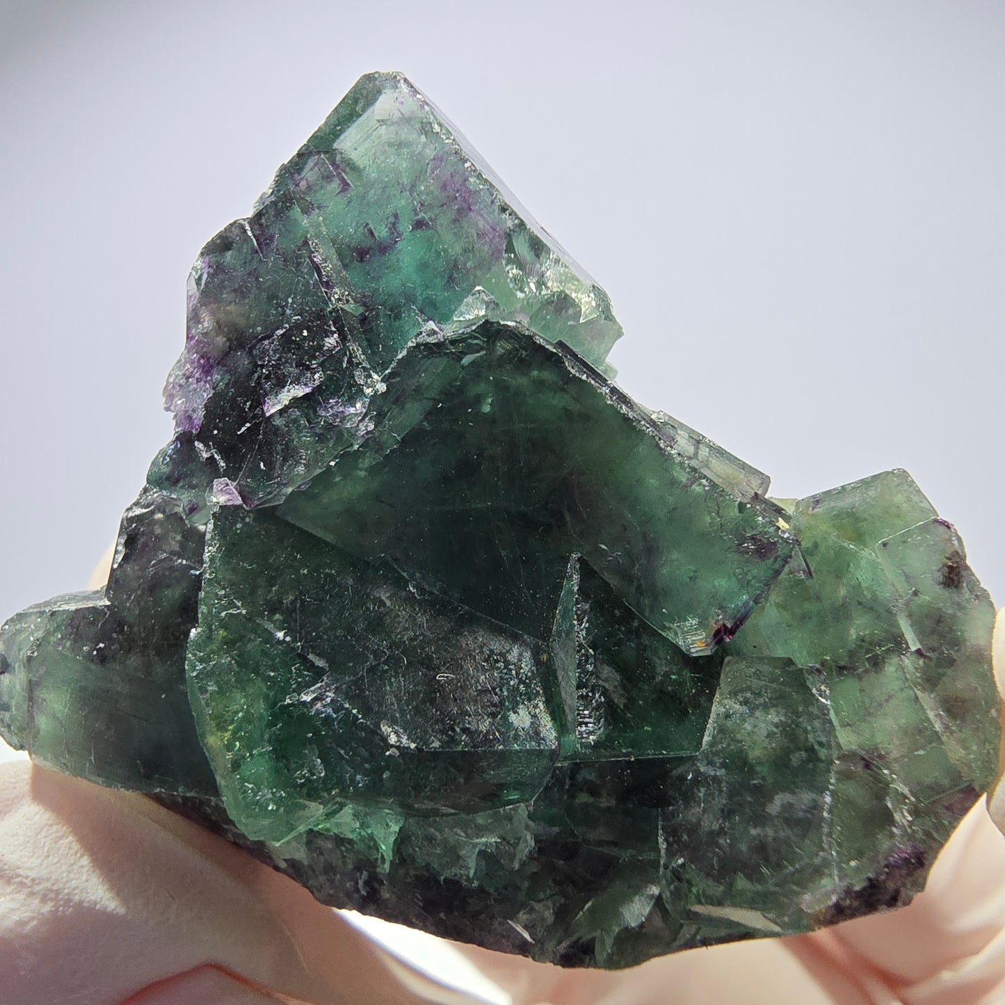 Spécimen de cube de fluorite fantôme parqueté vert violet Okorusu, Namibie 41*35*18mm