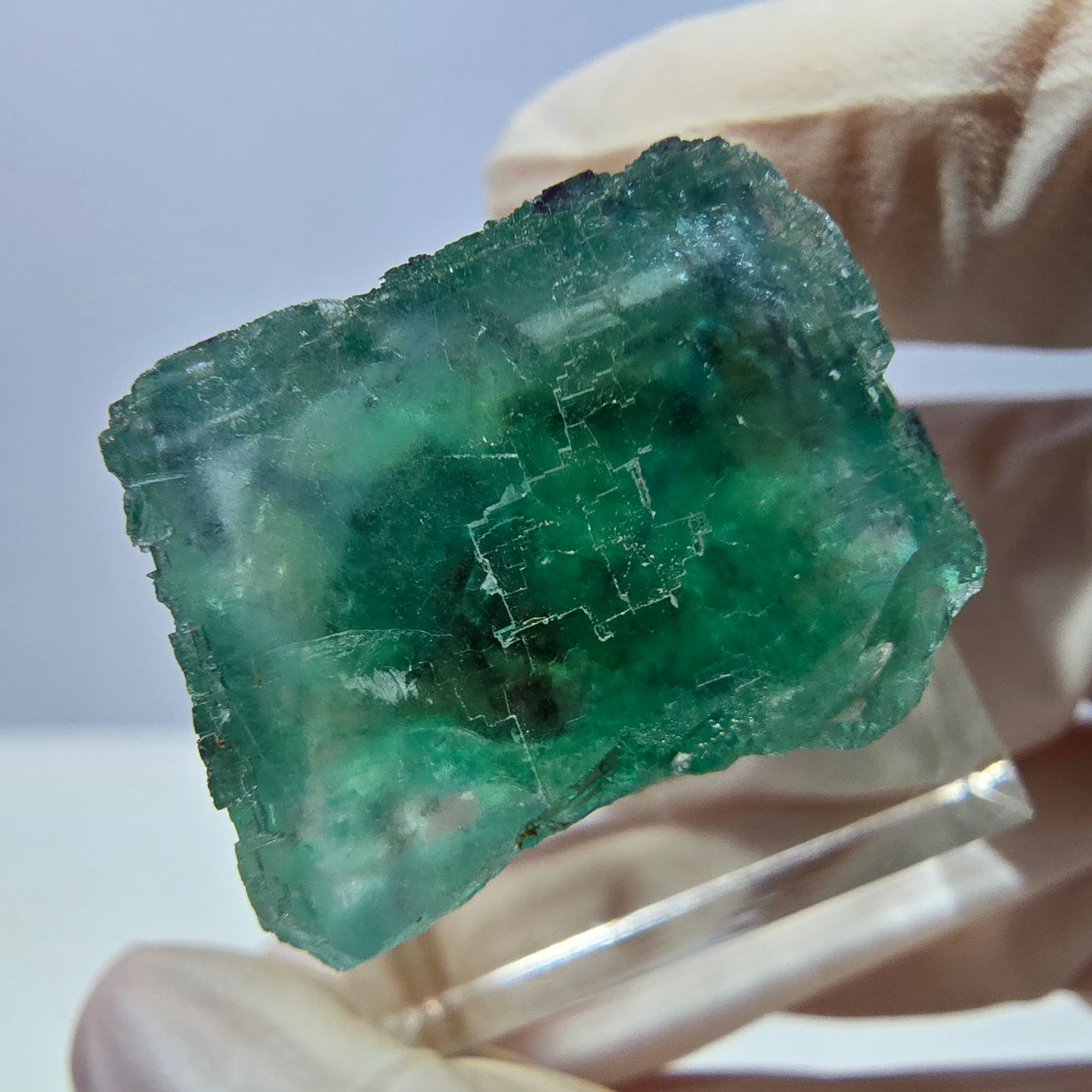 Spécimen de cube de fluorite fantôme, parquet vert Okorusu, Namibie 22 x 21 x 16 mm