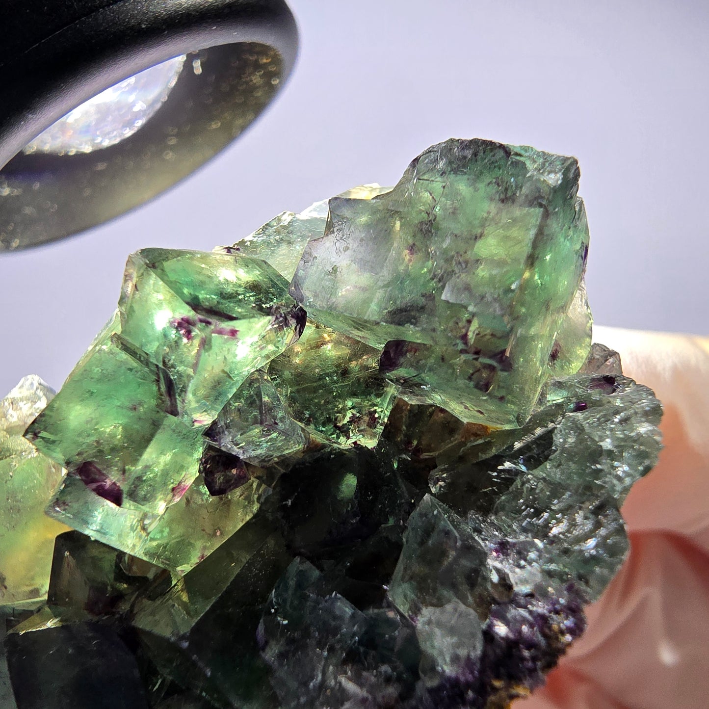 Spécimen de cube de fluorite fantôme parqueté vert violet Okorusu, Namibie 51*31*22mm