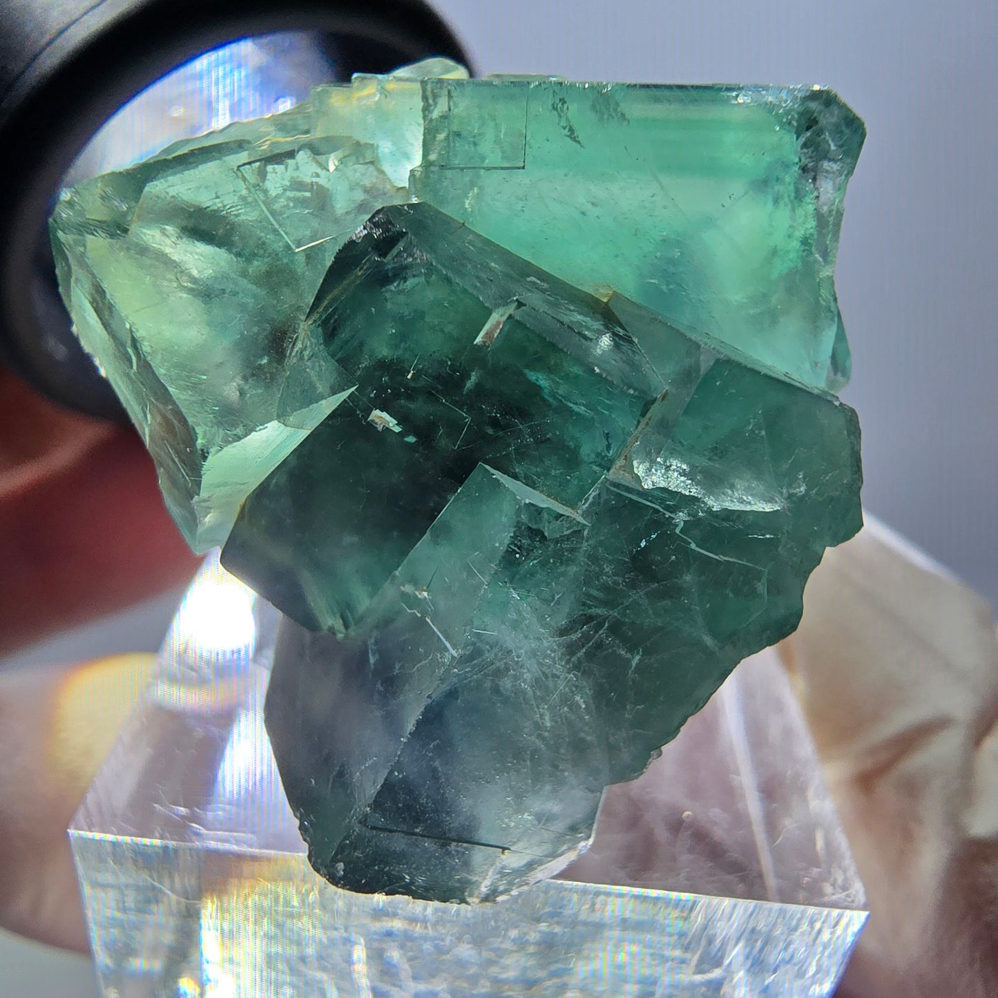 Spécimen de cube de fluorite fantôme, parquet vert Okorusu, Namibie 37 x 30 x 27 mm