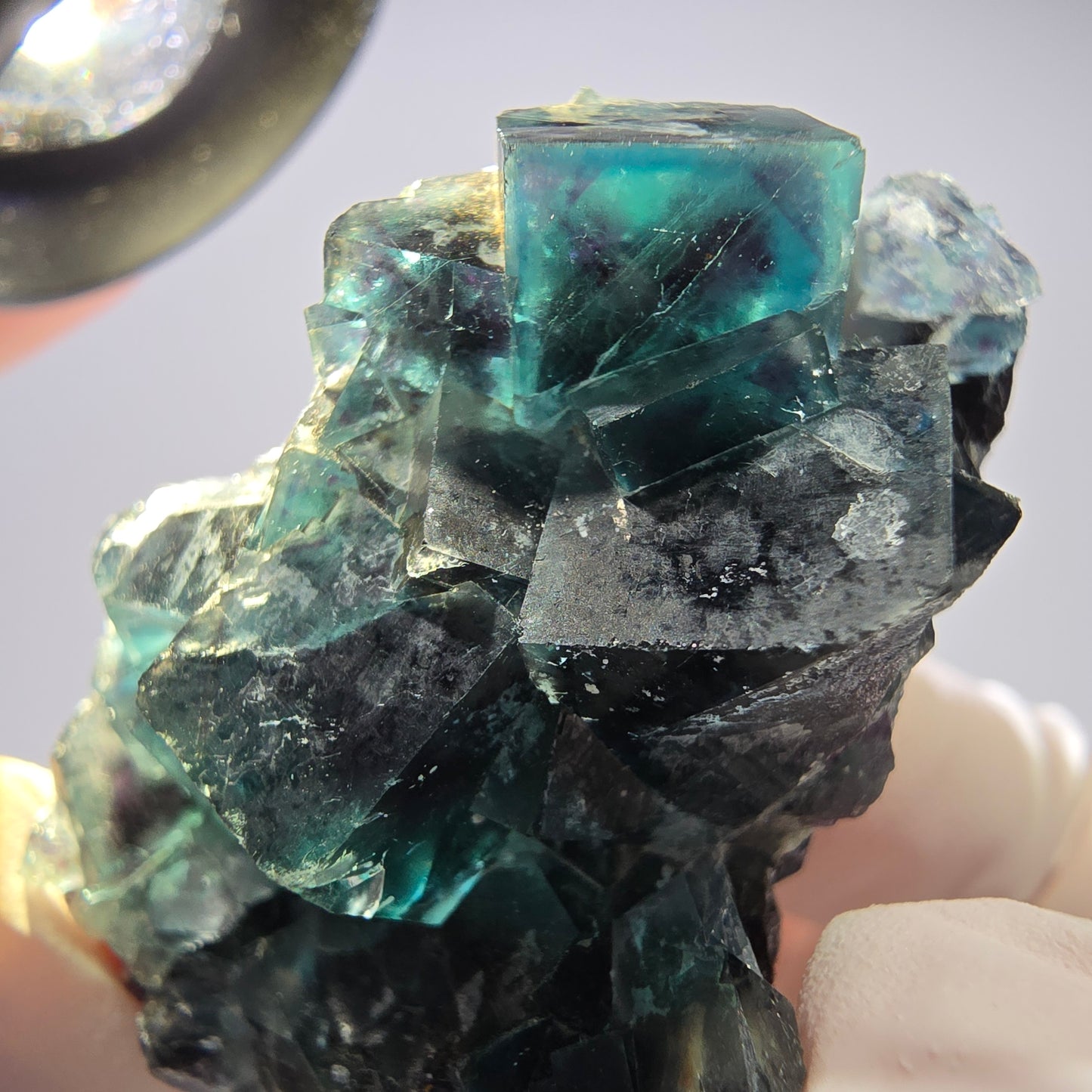 Rare spécimen de cube de fluorite fantôme, vert-violet, Okorusu, Namibie, 45 x 33 x 21 mm