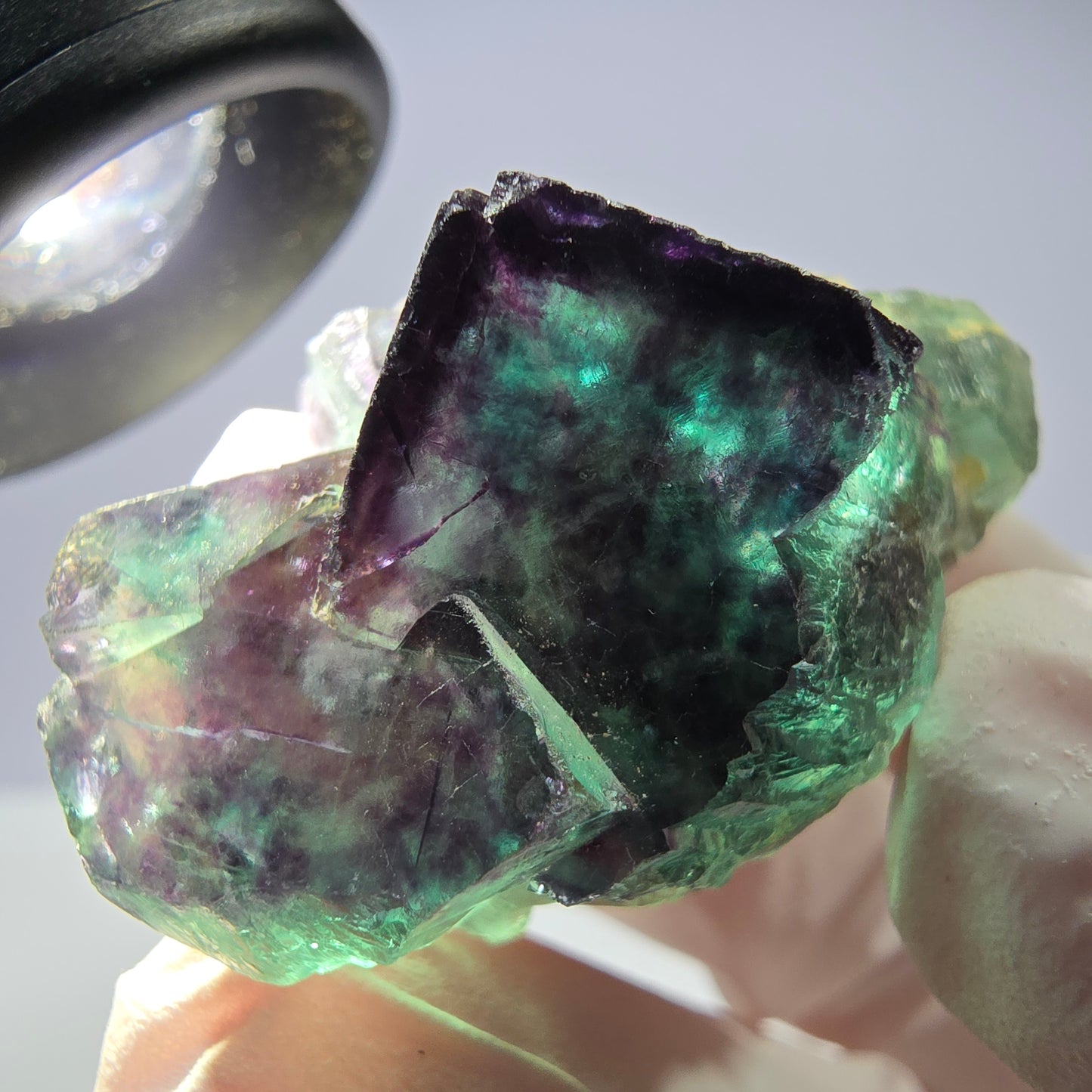 Spécimen de cube de fluorite fantôme parqueté vert violet Okorusu, Namibie 42*24*23mm