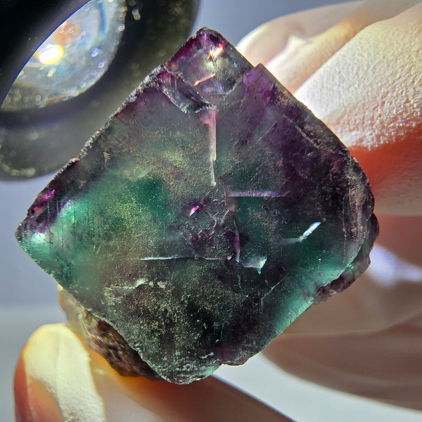 Spécimen de cube de fluorite fantôme parqueté vert violet Okorusu, Namibie 34*26*21mm