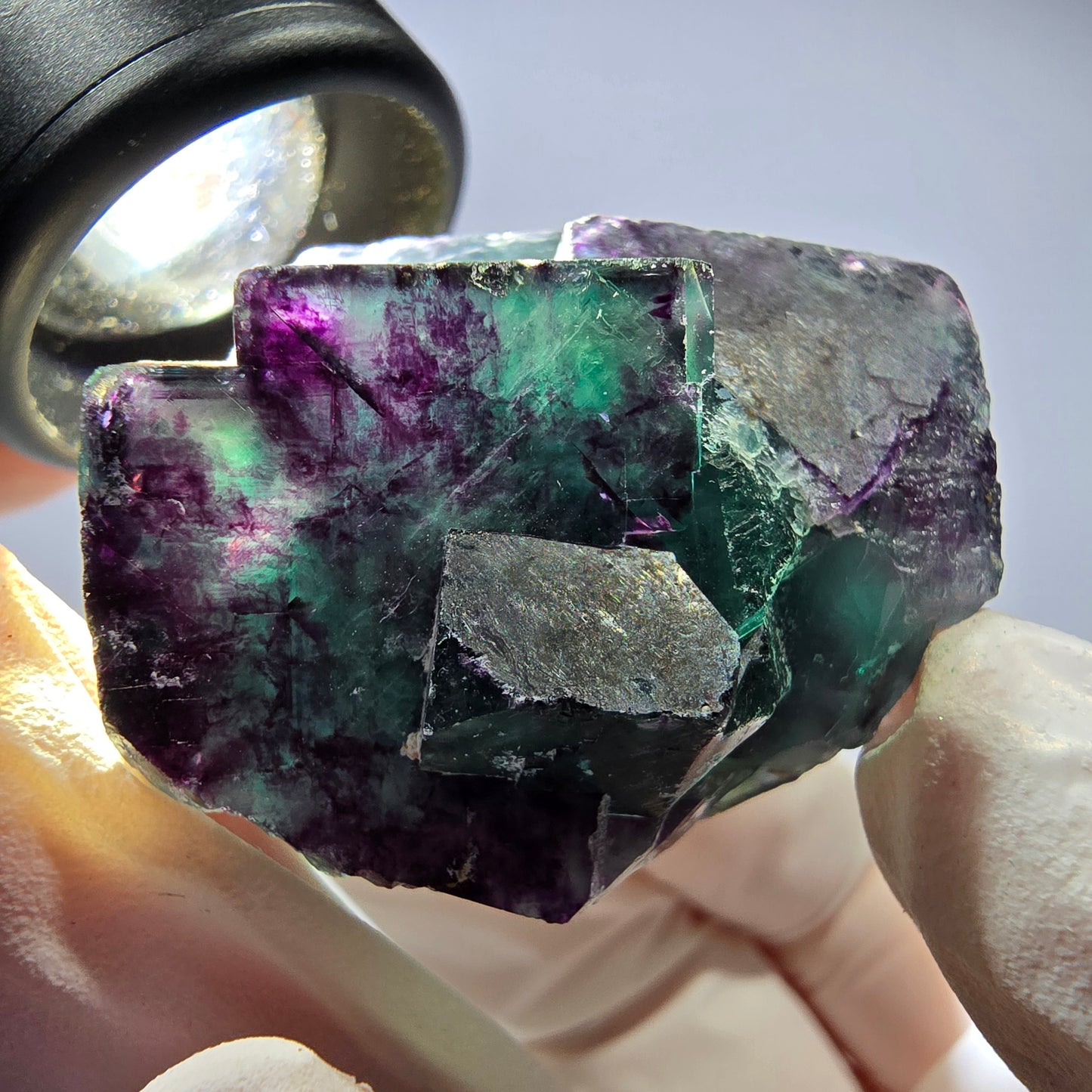 Spécimen de cube de fluorite fantôme parqueté vert violet Okorusu, Namibie 42*38*25mm