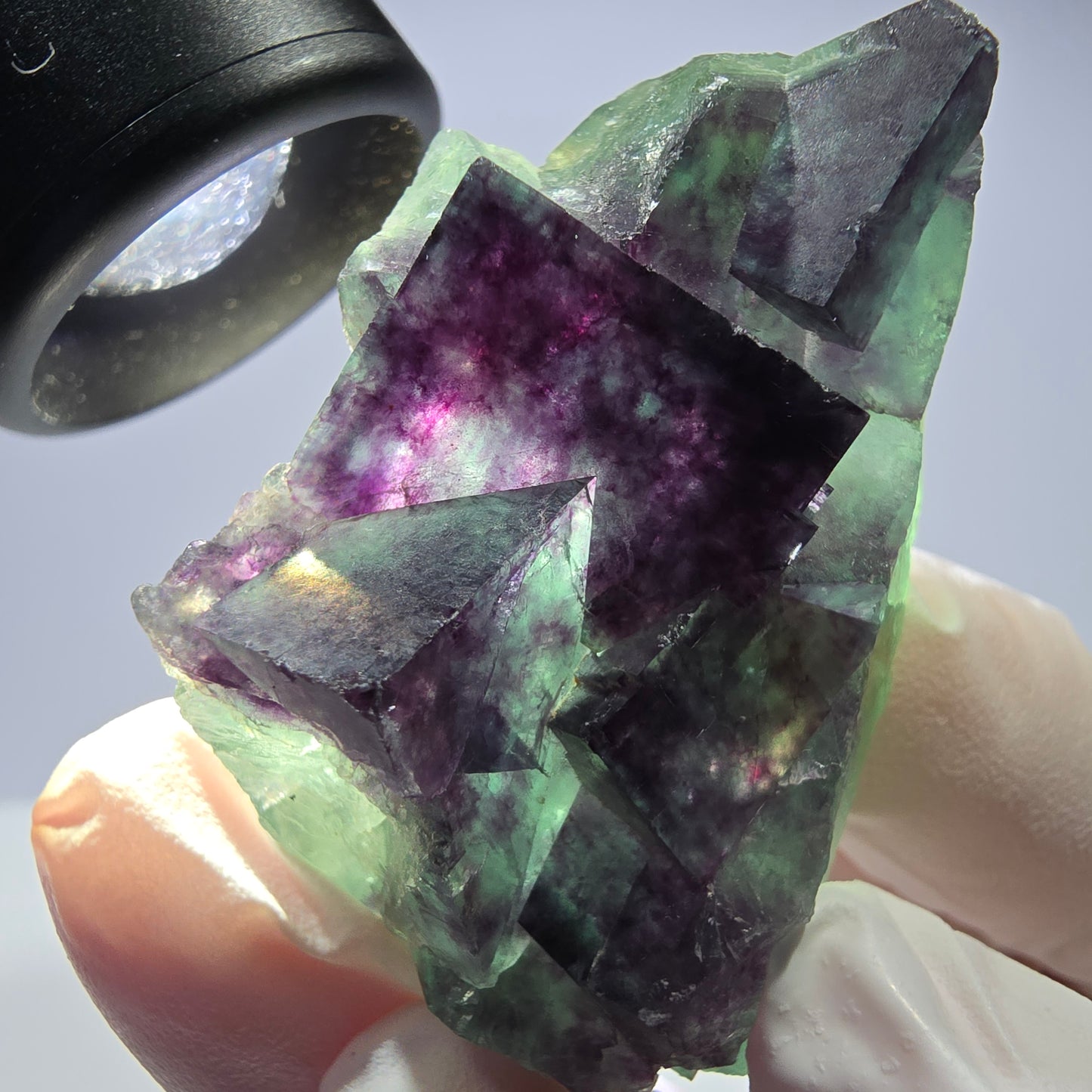 Spécimen de cube de fluorite fantôme parqueté vert violet Okorusu, Namibie 48*26*26mm