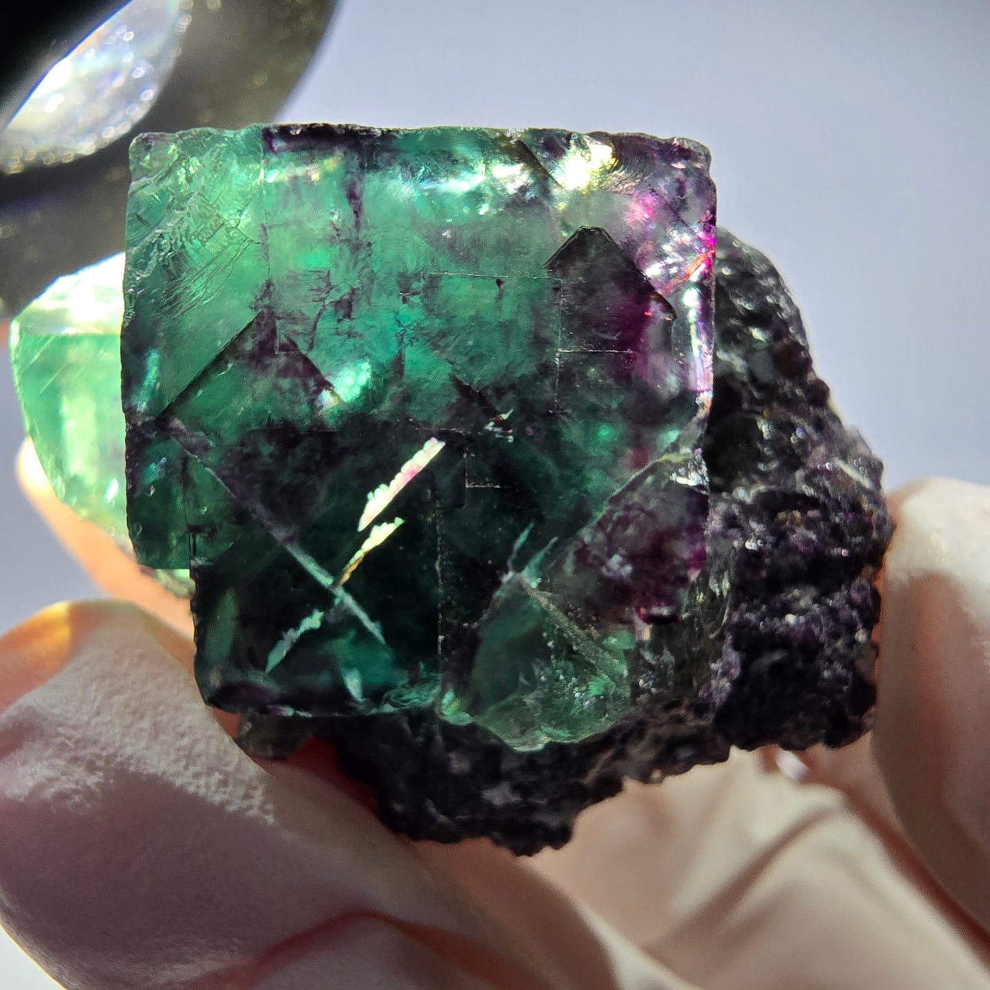Spécimen de cube de fluorite fantôme parqueté vert violet Okorusu, Namibie 41*34*26mm