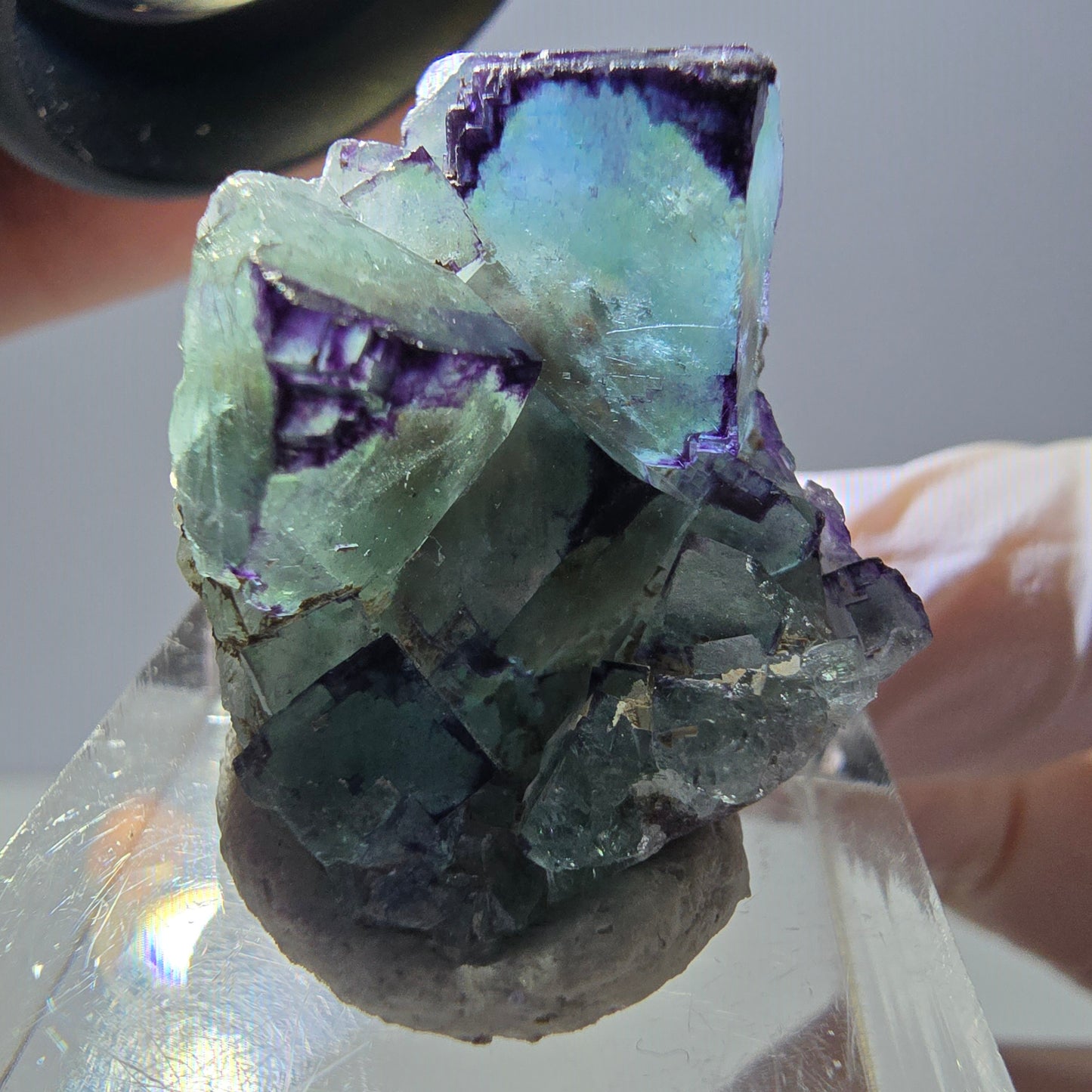 Phantom Fluorit Würfel Stufe, parkettiert, zonal Okorusu, Namibia 28*24*18mm