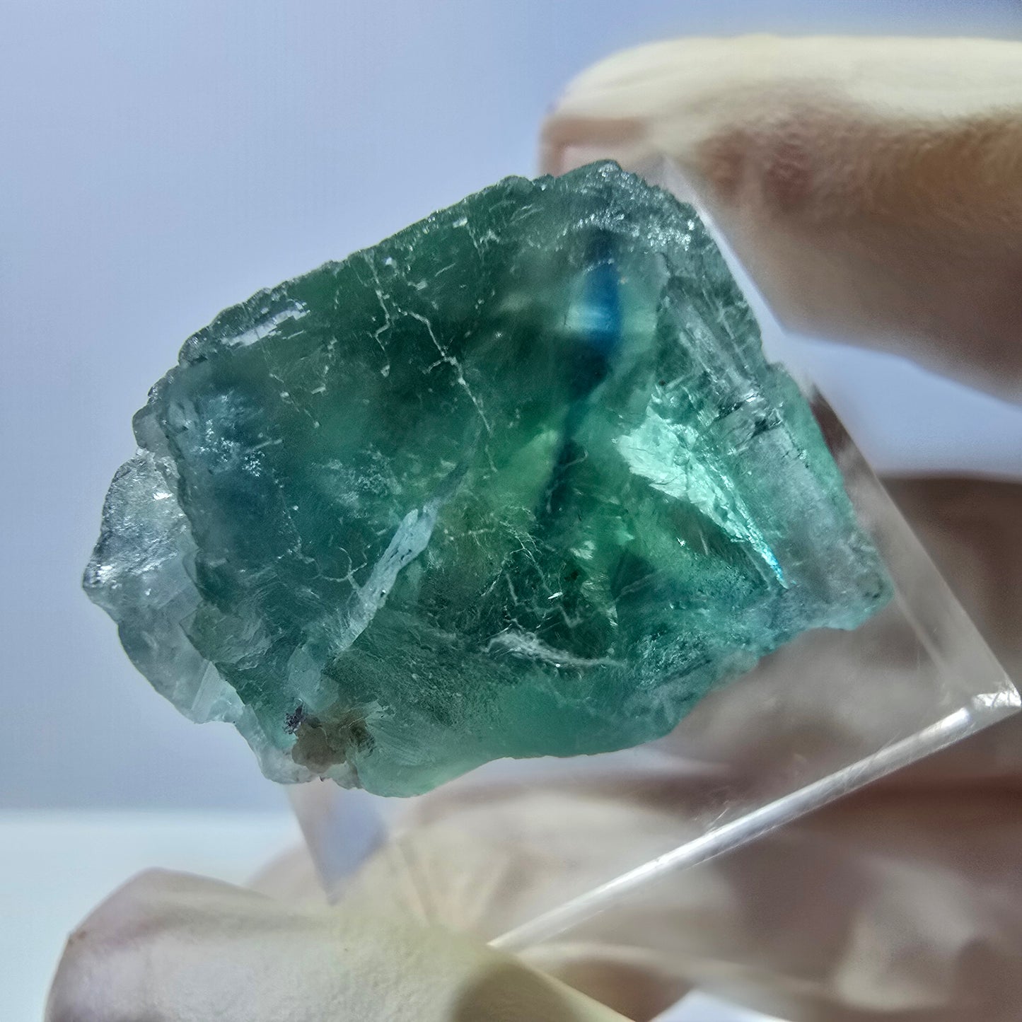 Cube de fluorite fantôme transparente parquetée, vert Okorusu, Namibie 20 x 18 x 15 mm