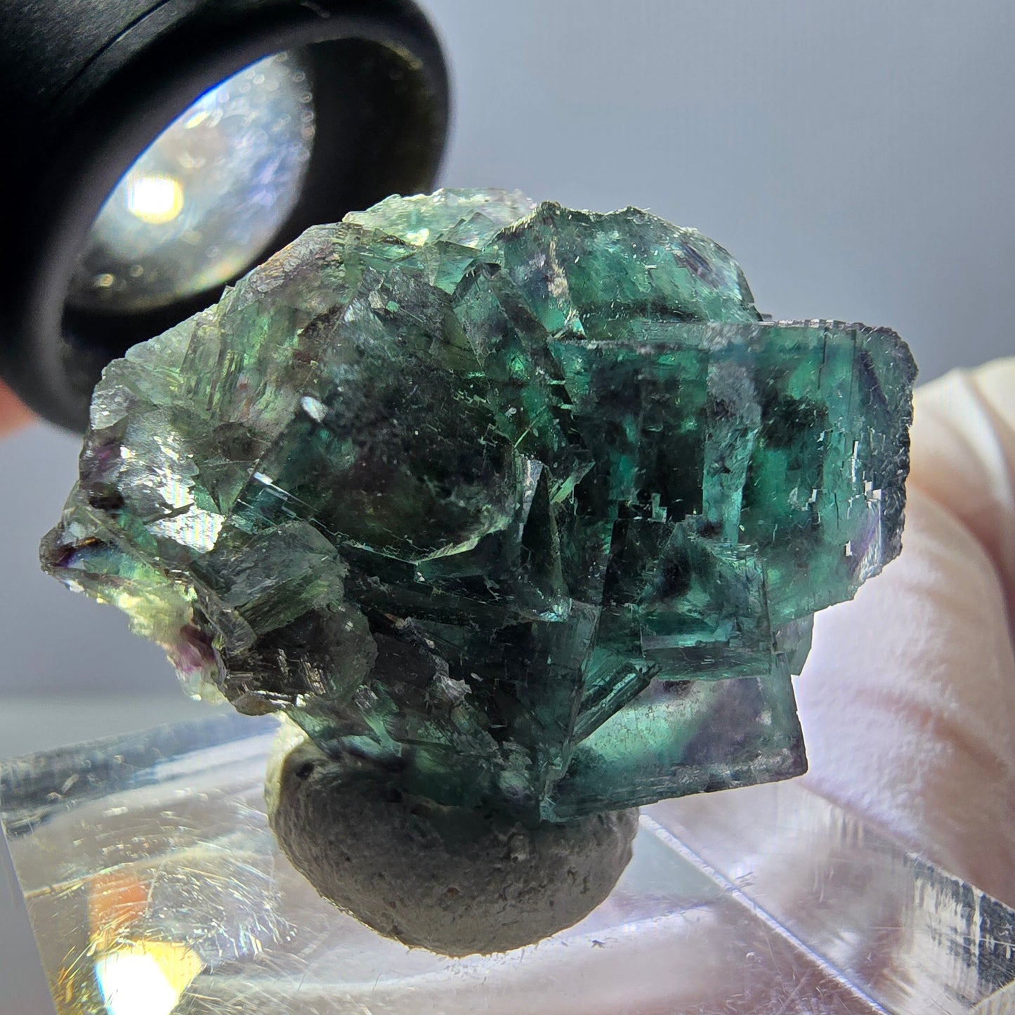 Spécimen de cube de fluorite fantôme, parqueté vert violet Okorusu, Namibie 27*24*17 mm