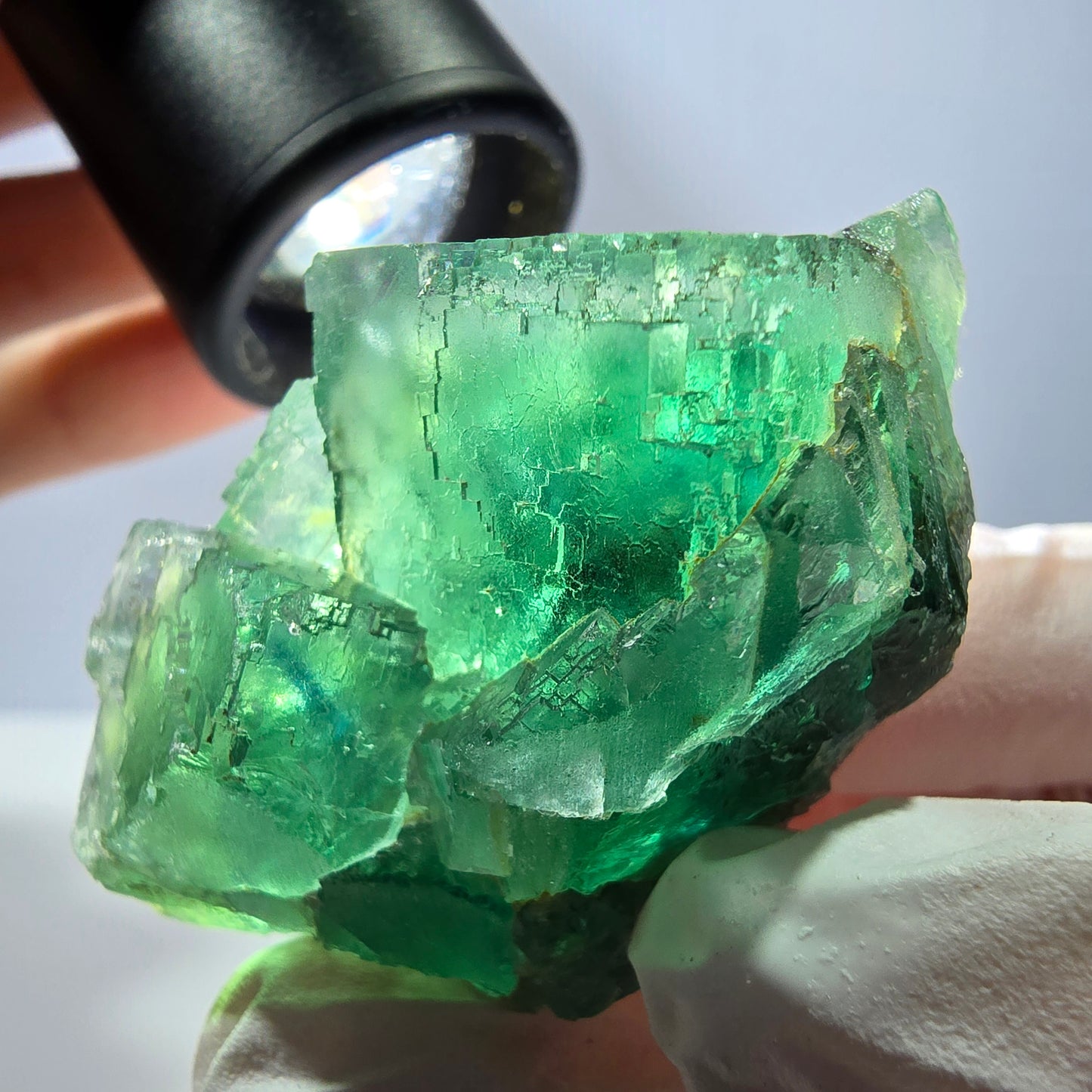Spécimen de cube de fluorite fantôme transparente, vert parqueté, Okorusu, Namibie, 54 x 33 x 29 mm