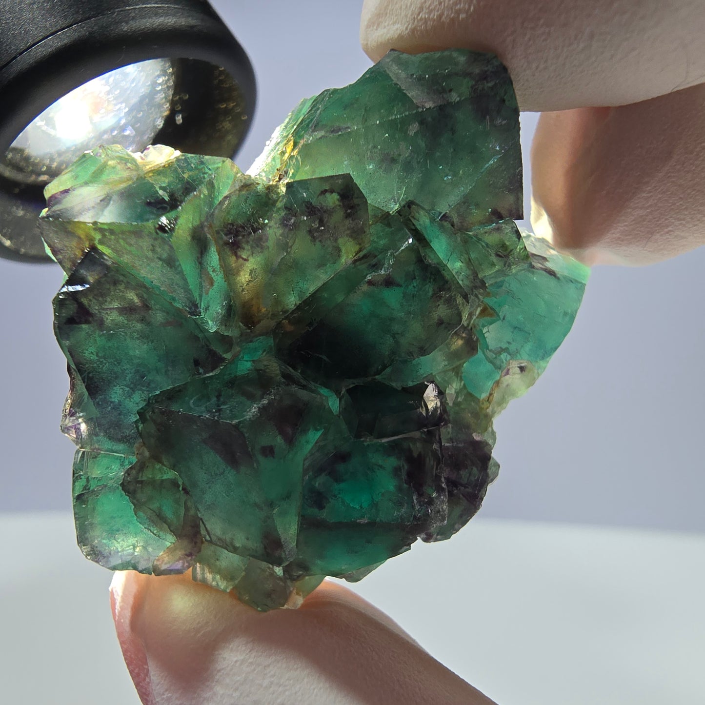 Spécimen de cube de fluorite fantôme parqueté vert violet Okorusu, Namibie 42*33*14 mm
