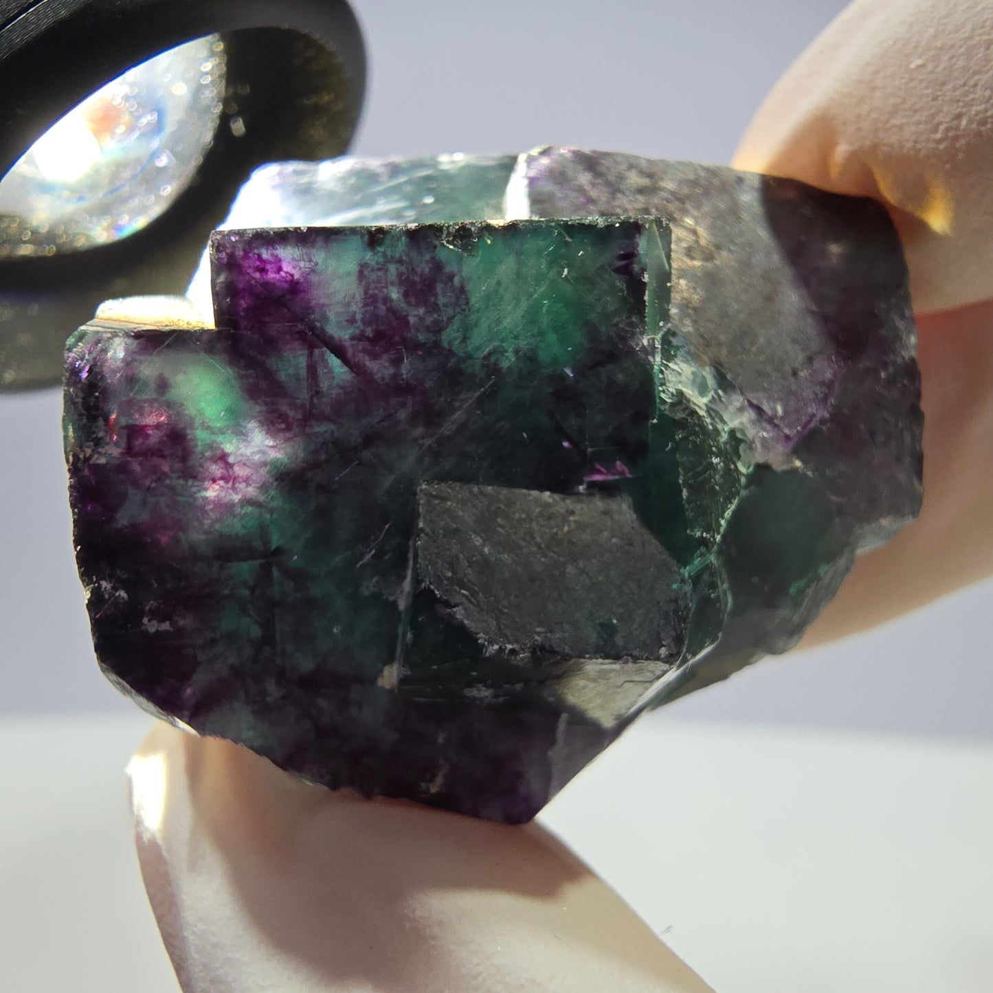 Spécimen de cube de fluorite fantôme parqueté vert violet Okorusu, Namibie 42*38*25mm