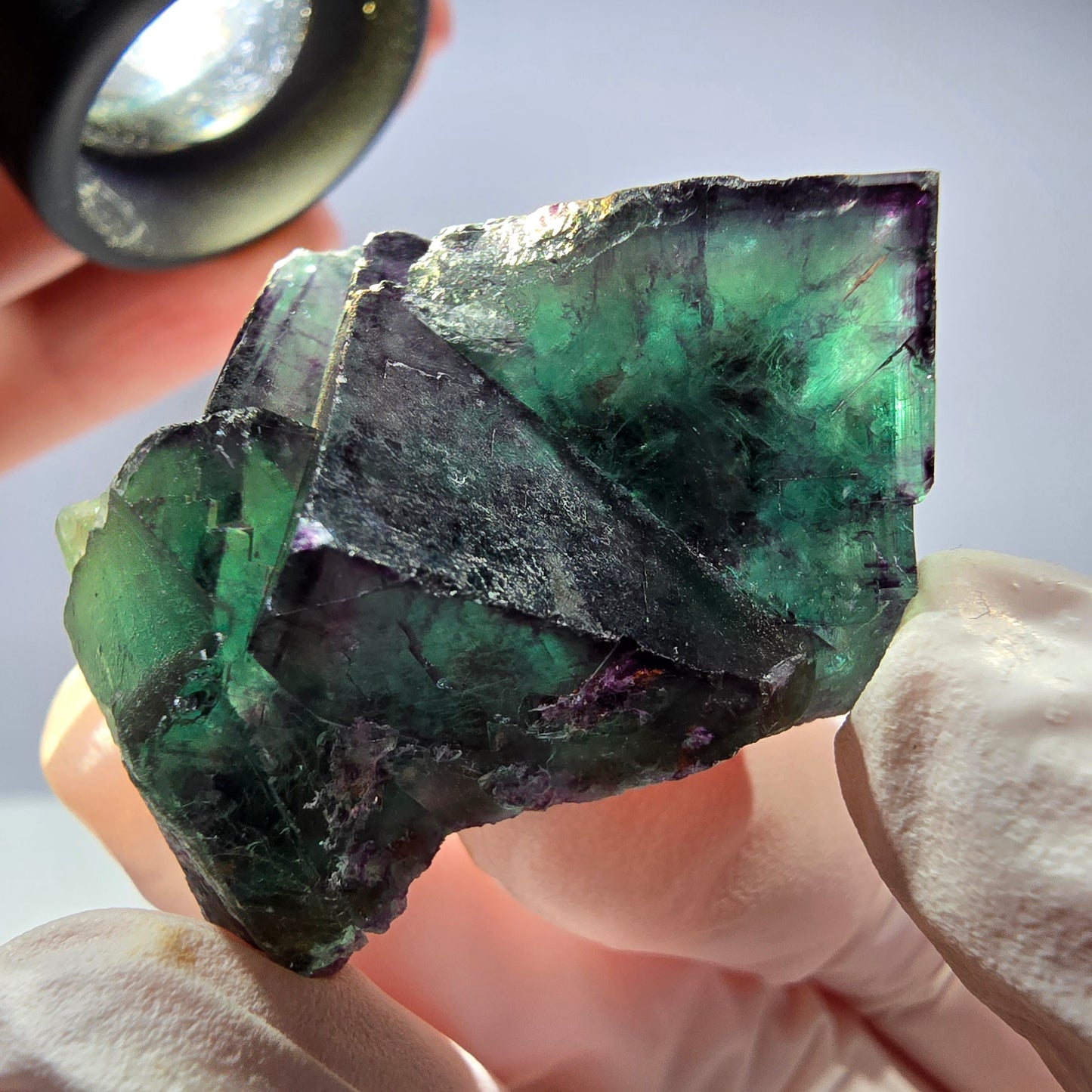 Spécimen de cube de fluorite fantôme parqueté vert violet Okorusu, Namibie 45*28*25 mm