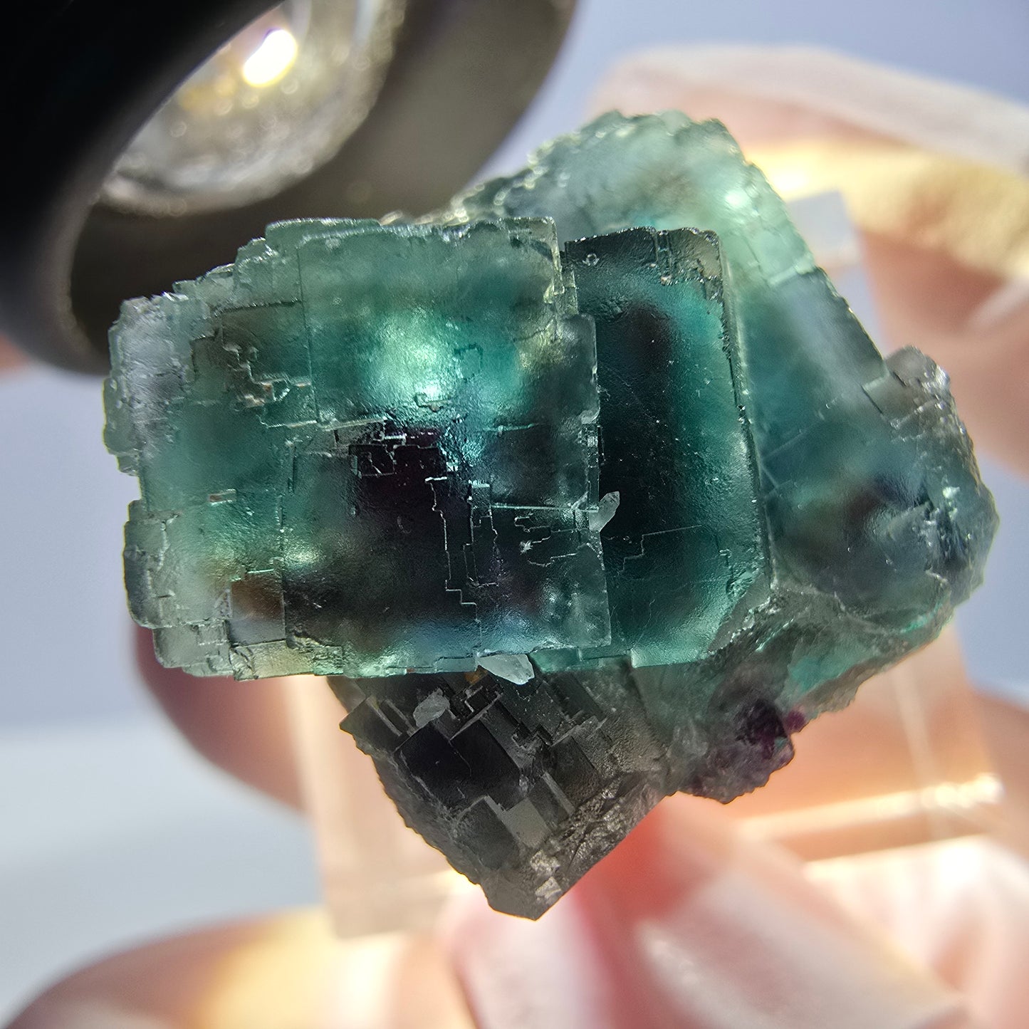 Spécimen de cube de fluorite fantôme, parqueté vert violet Okorusu, Namibie 25*18*18 mm