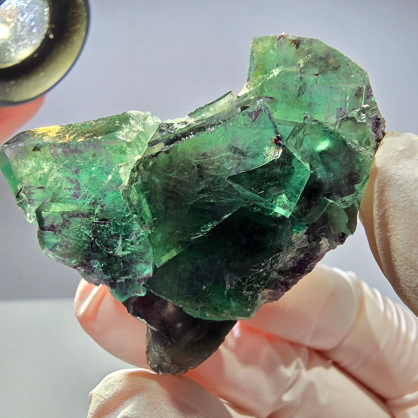 Spécimen de cube de fluorite fantôme parqueté vert violet Okorusu, Namibie 41*35*18mm