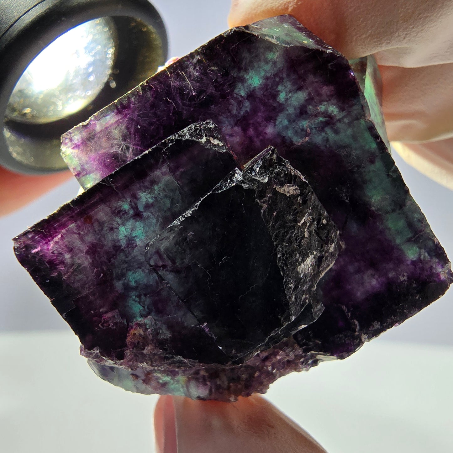 Spécimen de cube de fluorite fantôme parqueté vert violet Okorusu, Namibie 45*34*22mm