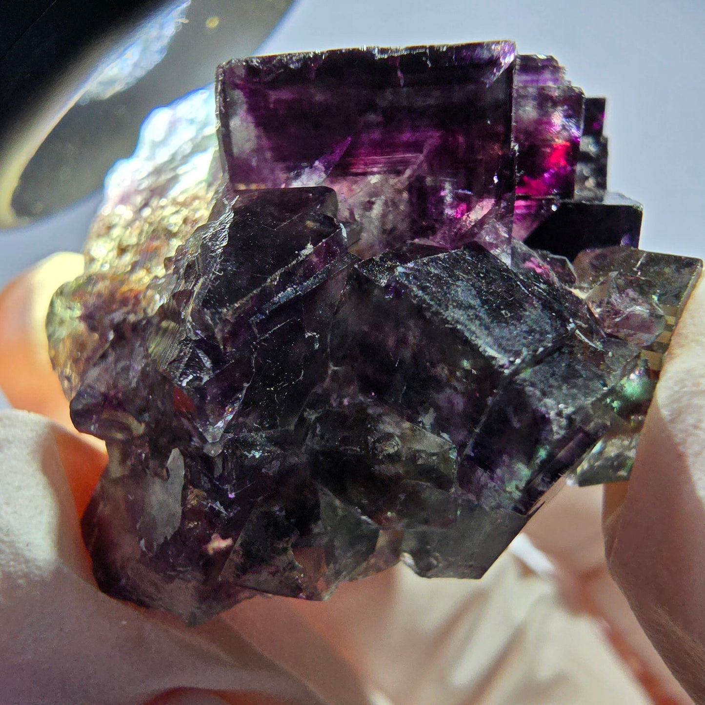 Spécimen de cube de fluorite fantôme parqueté vert violet Okorusu, Namibie 38*36*21 mm
